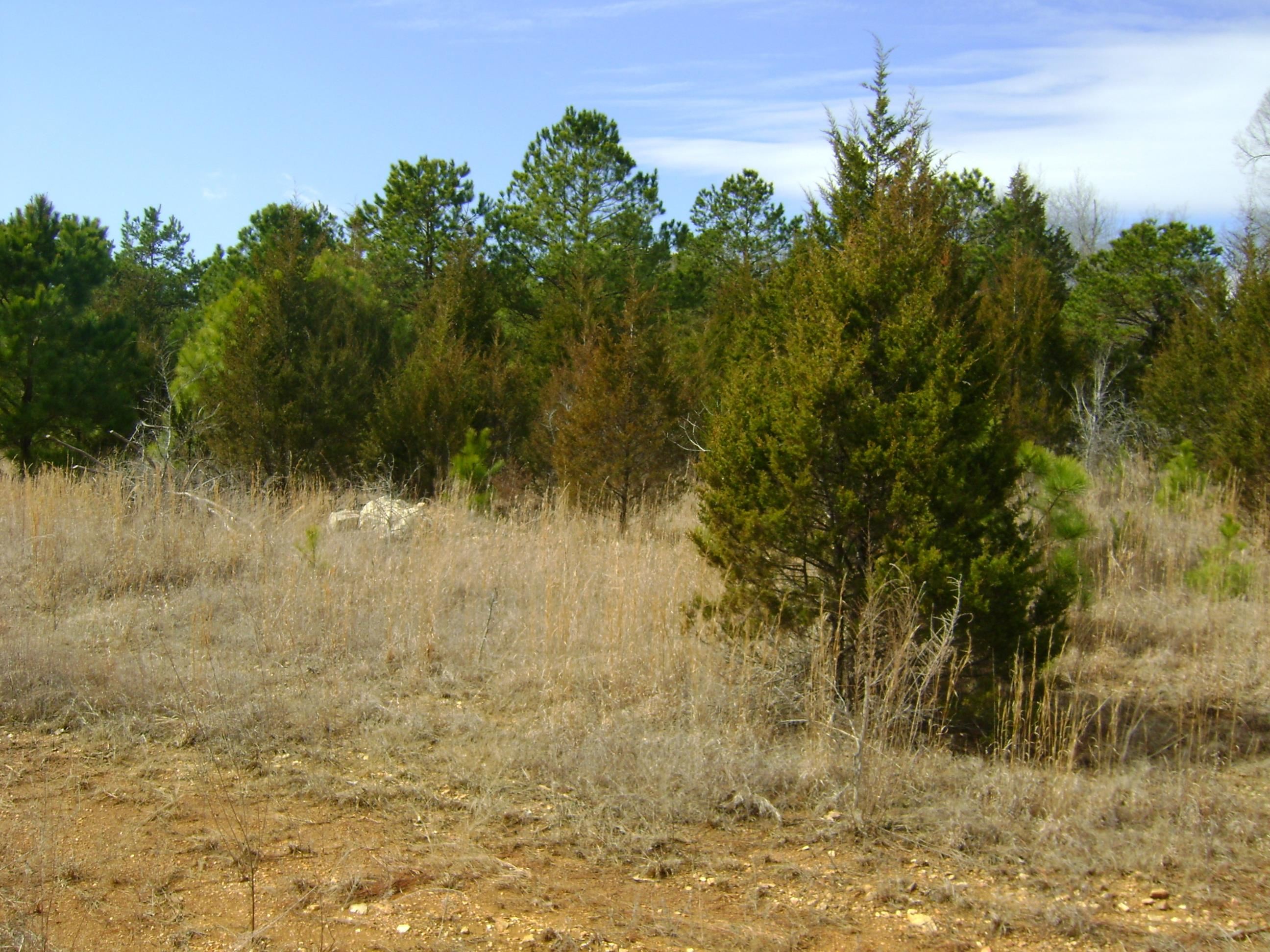 Golf Park 2 - Land