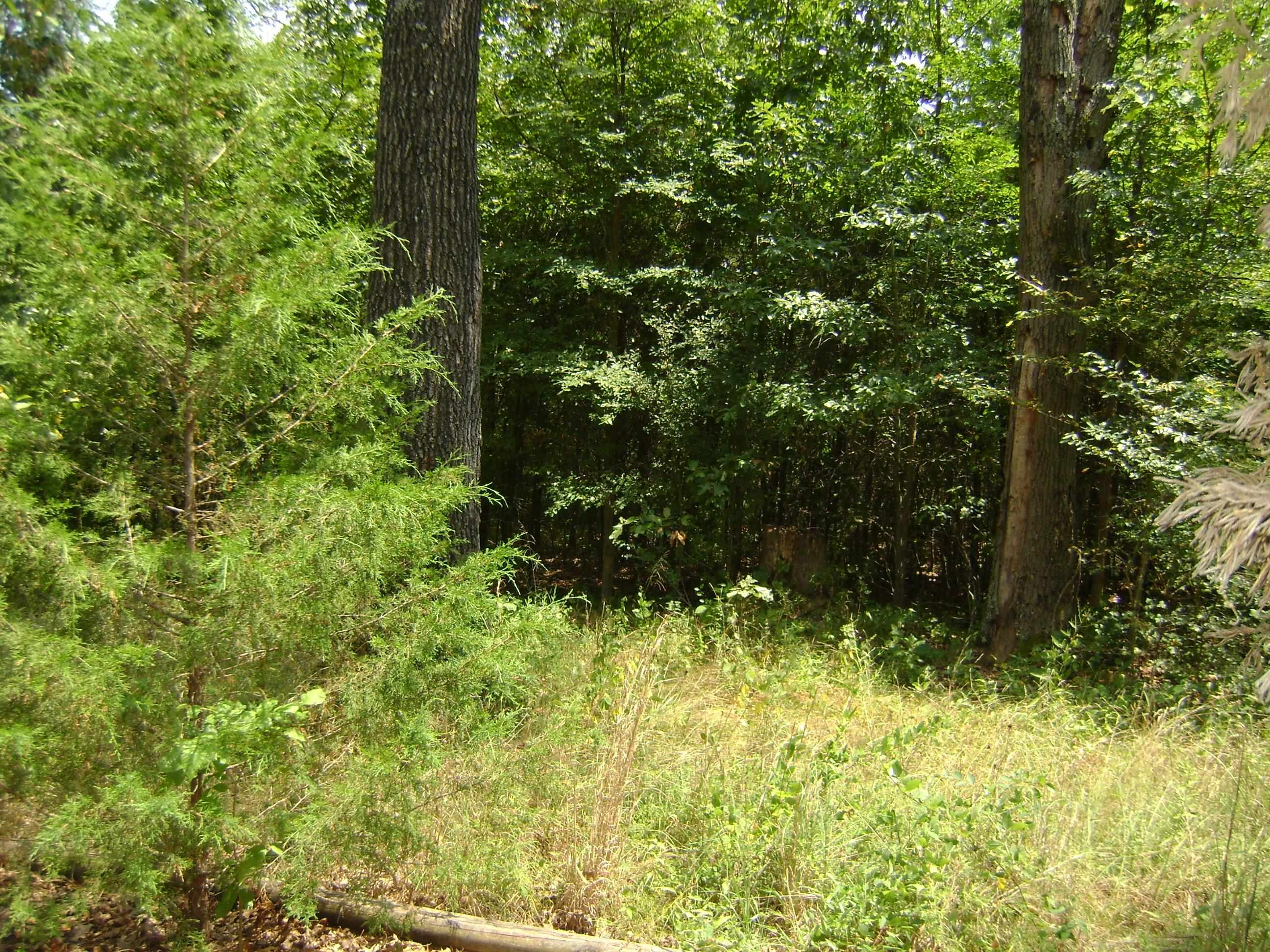 Great golf course lots at an affordable price. These lots are on Turkey Mountain Golf course. We have several golf courses and lakes that are a short drive for your entertainment and relaxation. Come see these lots and meet the friendly people in the Ozark Foothills for a slower more relaxed way of life with low property taxes. I think you will find this is the place that you will enjoy. Come see for yourself.