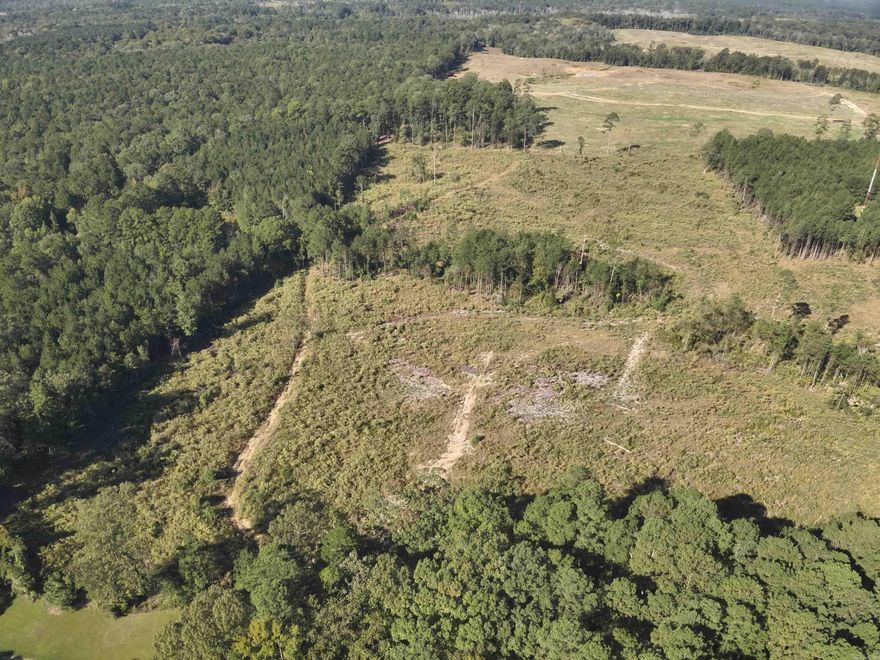 The ‘South Eldorado 44’ is a ±44.3-acre tract located in the central part of Union County along US-167 about two miles south of the US-82 & US-167 intersection. The property features roughly 950 feet of frontage to the west side of US-Hwy 167 aka “Junction City Highway”. Some utilities exist along this highway allowing for commercial building potential or home site potential within the El Dorado School District. The topography consists of well-drained slopes with a small creek drain passing through the property. Nearly 30 acres of the property were cleared and harvested in 2024. About 8 acres in the northwestern corner contain ~20yr natural pine along with a site featuring a media broadcasting tower. The equipment and rights associated with this tower DO NOT convey with this landsale (Seller RESERVES an easement south of Country Living Park). Roughly five acres of older natural pine stand along the frontage to the west side of US-Hwy 167. According to the USDA Web Soil Survey, the land is based upon Warnock-Smithdale complex soil, which gives the property an average soil site index of 86.0 feet for Loblolly Pine (base age 50 years).