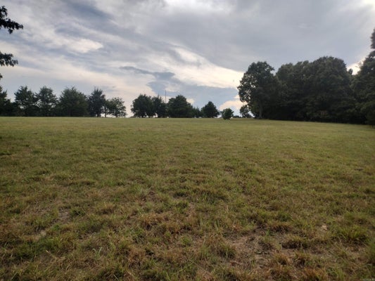 SHADY OAK DR, MOUNTAIN VIEW, AR 72560 - Image c1d51c7488d2b0c79b5f7eb740dcd17e/2205149786