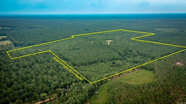 NEVADA 61ST RD, PRESCOTT, AR 71857 - Image c1e7b2e9d47e9c427e4a34b5b96201c0/3326379899