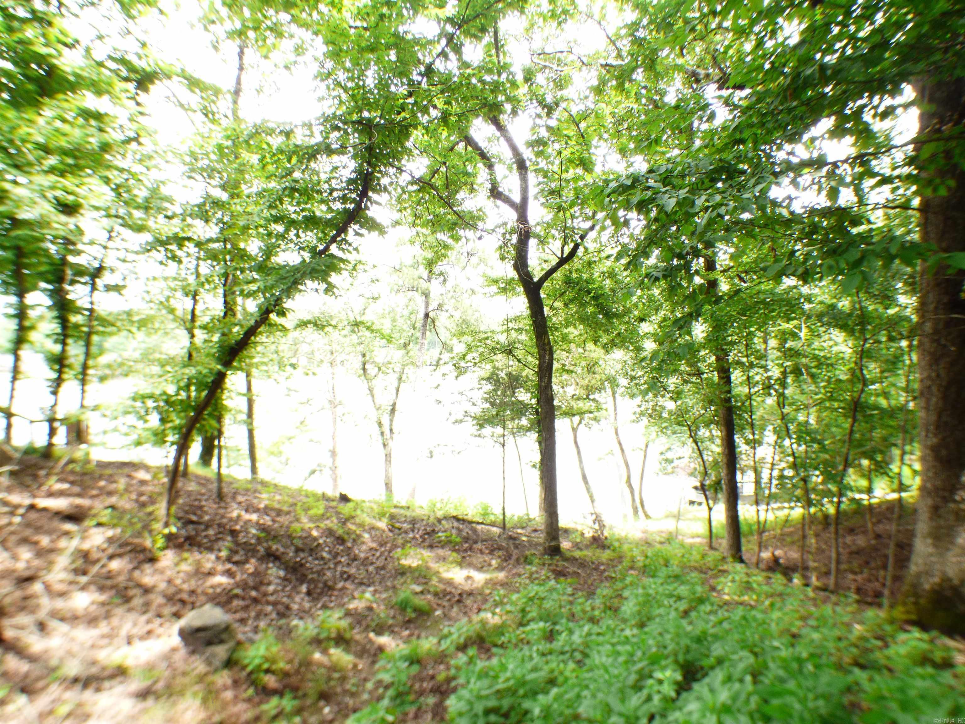 La Ho Heights - Land