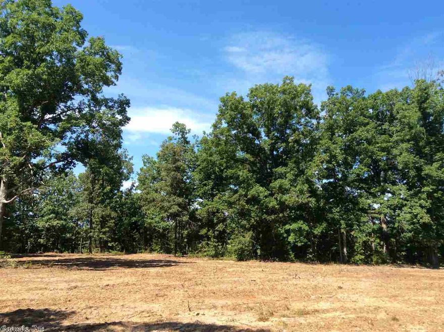 14 Acres of woods near Mena.  Cleared building site.  Mountain views in two directions.  Pretty oak trees.  No restrictions and all minerals convey.  Owner/Broker.