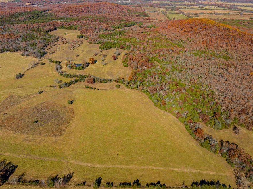 In the heart of Arkansas, a gem of nature and opportunity lay hidden: an expansive 320 +/- acre tract of land, waiting to be discovered. This vast property, one of the most affordable pieces on the market, offered a diverse range of possibilities that sparked the imagination of anyone who set foot on it.  Lets talk about this property sitting here in the Ozarks!Of the total acreage, approximately 150 acres were dedicated to lush pastureland and productive hay fields, perfect for those with agricultural ambitions. The remaining land was covered with mature, marketable timber, standing tall and proud, whispering secrets of the past and promises of future potential.One of the standout features of this tract was Burns Hill, one of the tallest hills in the area, rising over 700 feet. This elevation offered stunning potential home sites, where one could build a dream house with breathtaking views that stretched for miles. Imagine waking up every morning to the sight of rolling hills and verdant landscapes, a perfect escape from the hustle and bustle of city life.The property was rich in wildlife, making it a paradise for hunters. Turkey and whitetail deer roam freely! MUST SEE