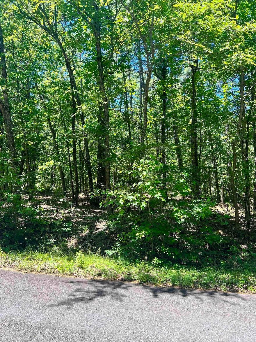 Come view this lovely, secluded and wooded lot in Hot Springs Village.  It may be the perfect place for your new dream home.  The Village has much to offer, including 9 golf courses and 11 lakes, not to mention all the activities, such as tennis, pickleball, archery and more!