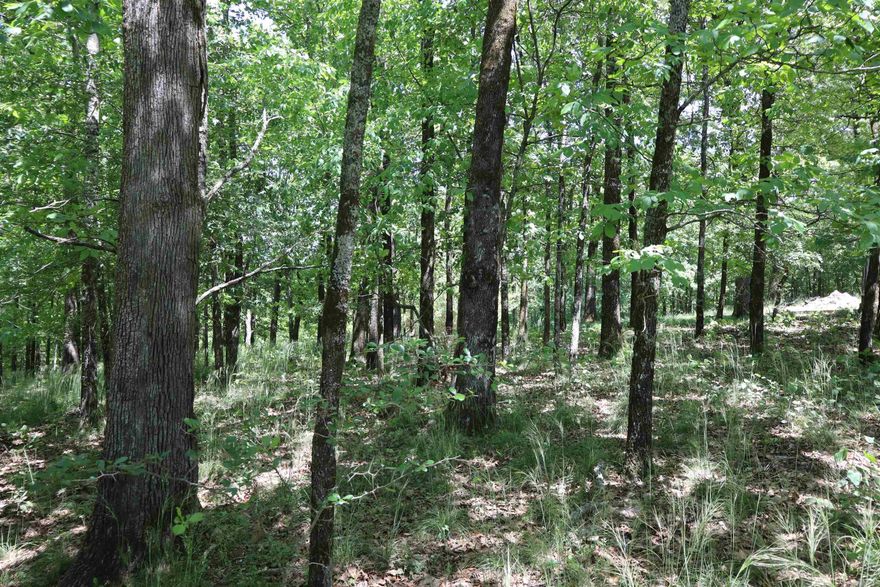 Large lot with beautiful views! 0.76 wooded acres in Lakeside School District. Located in Diamondhead Subdivision with amenities including golf course, swimming pool, disc golf, tennis courts, pickleball court, basketball court, playground and lake access! Dues are $545/year then increase to $1300.00/year after house is built.