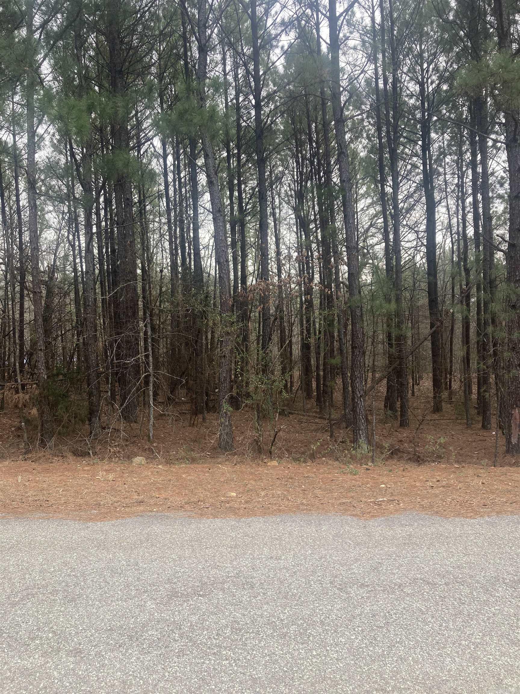 Metes & Bounds - Land