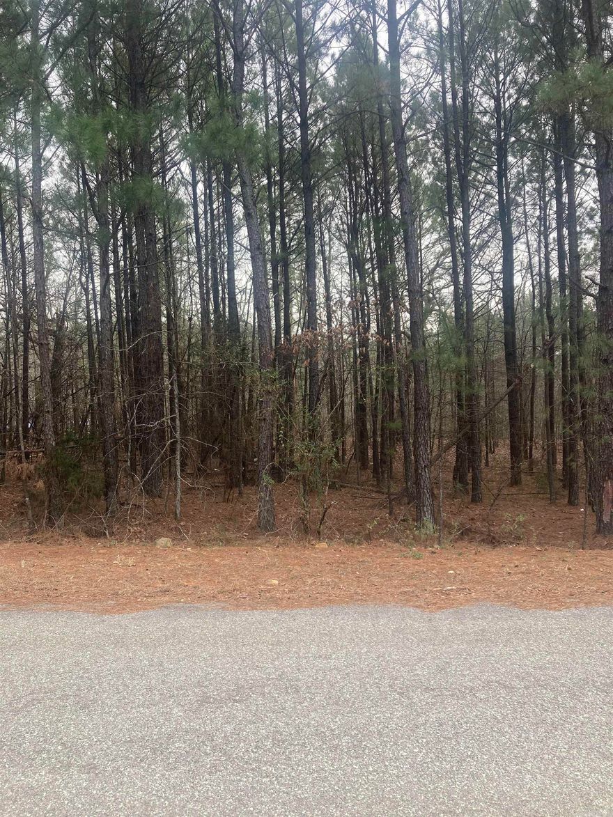 You know what they say about land...they're not making any more of it. Here's you chance to own a nice piece of property in North Little Rock. Property sits on a ridge and would make an excellent place to build your dream home and enjoy the amazing view. It's also very close to the back side of Camp Robinson so hunting should be good too. Don't miss this opportunity. Call now to schedule a showing!