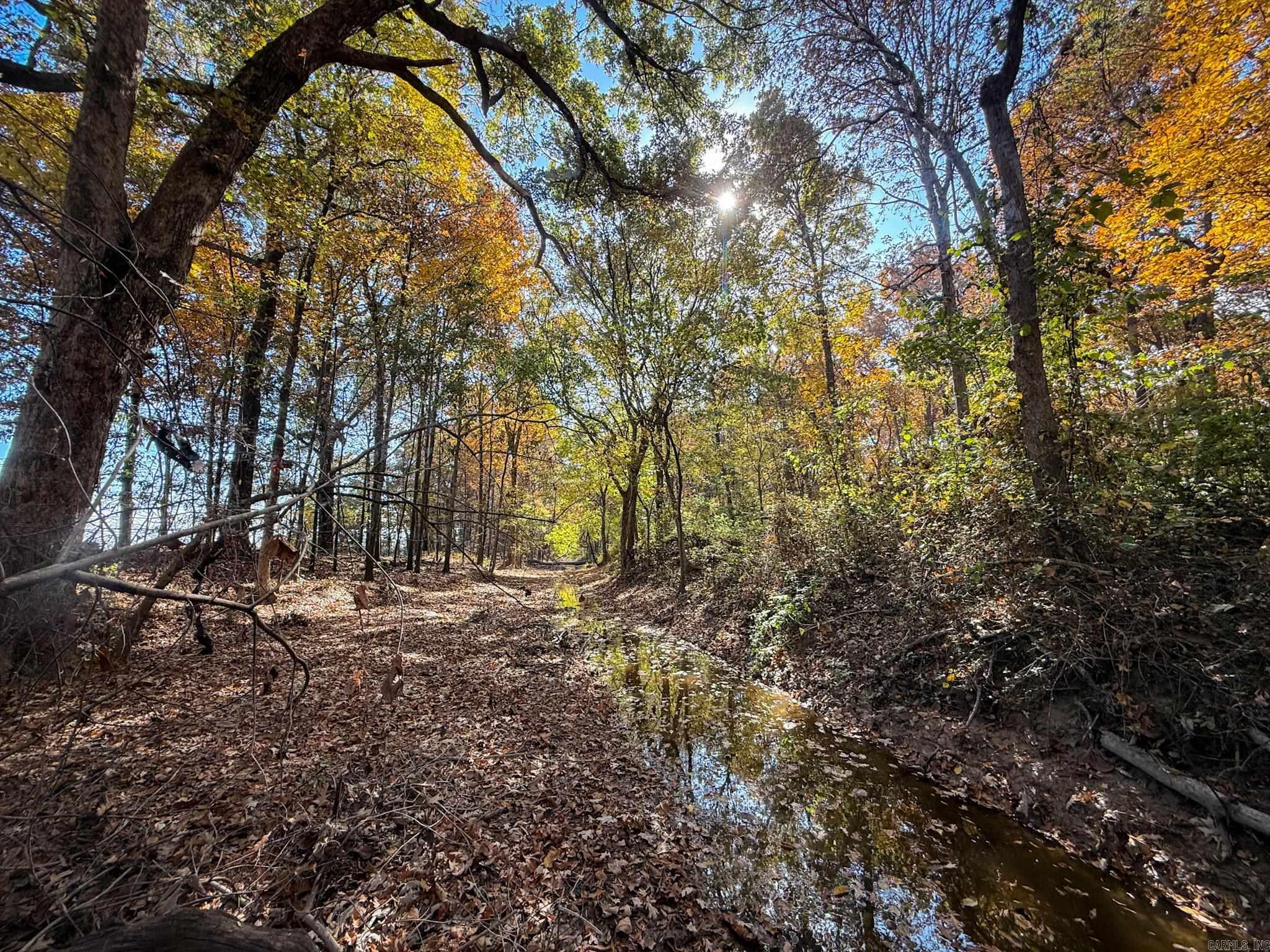 Not in Subdivision - Farm