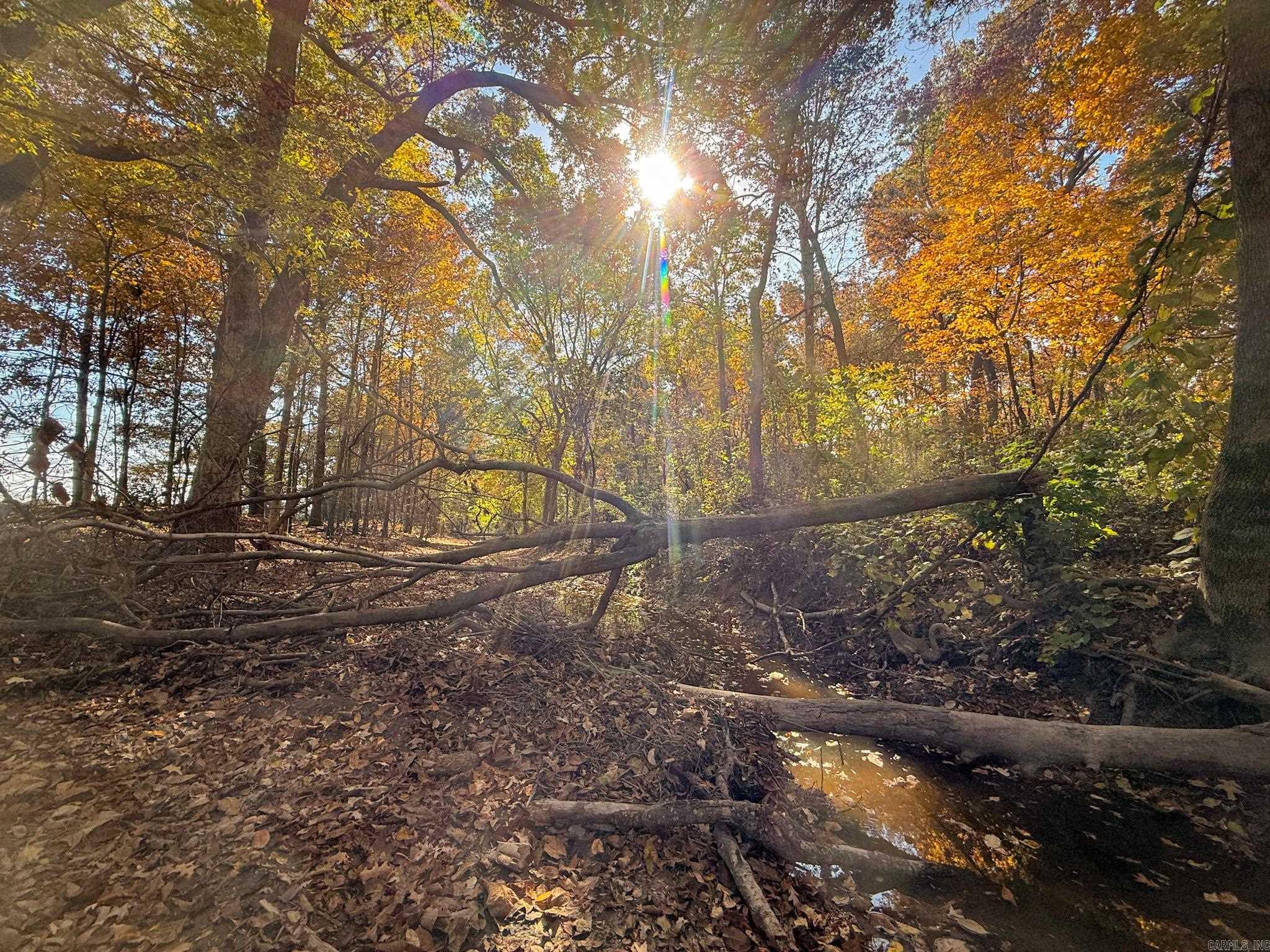 Not in Subdivision - Farm