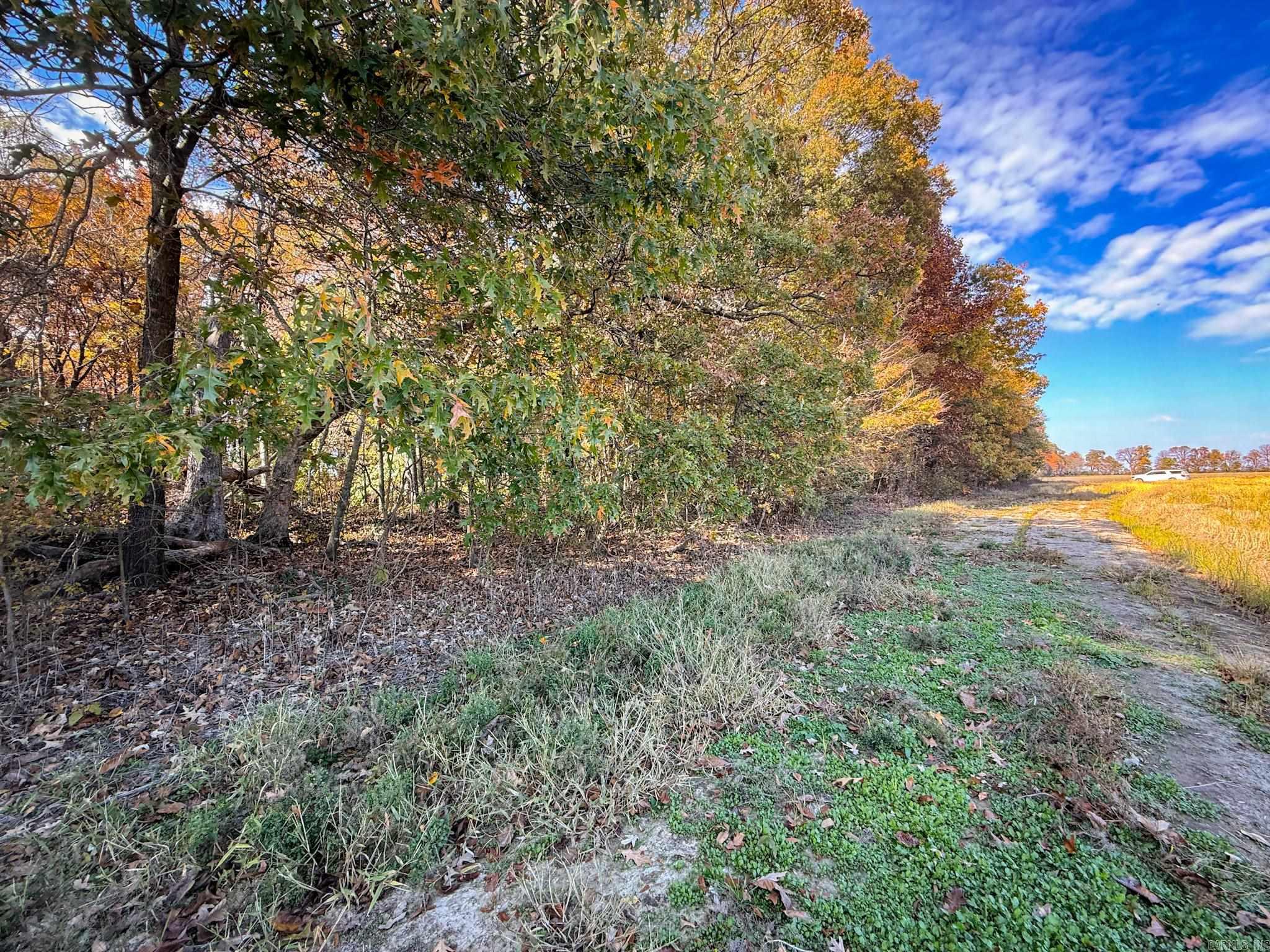 Not in Subdivision - Farm