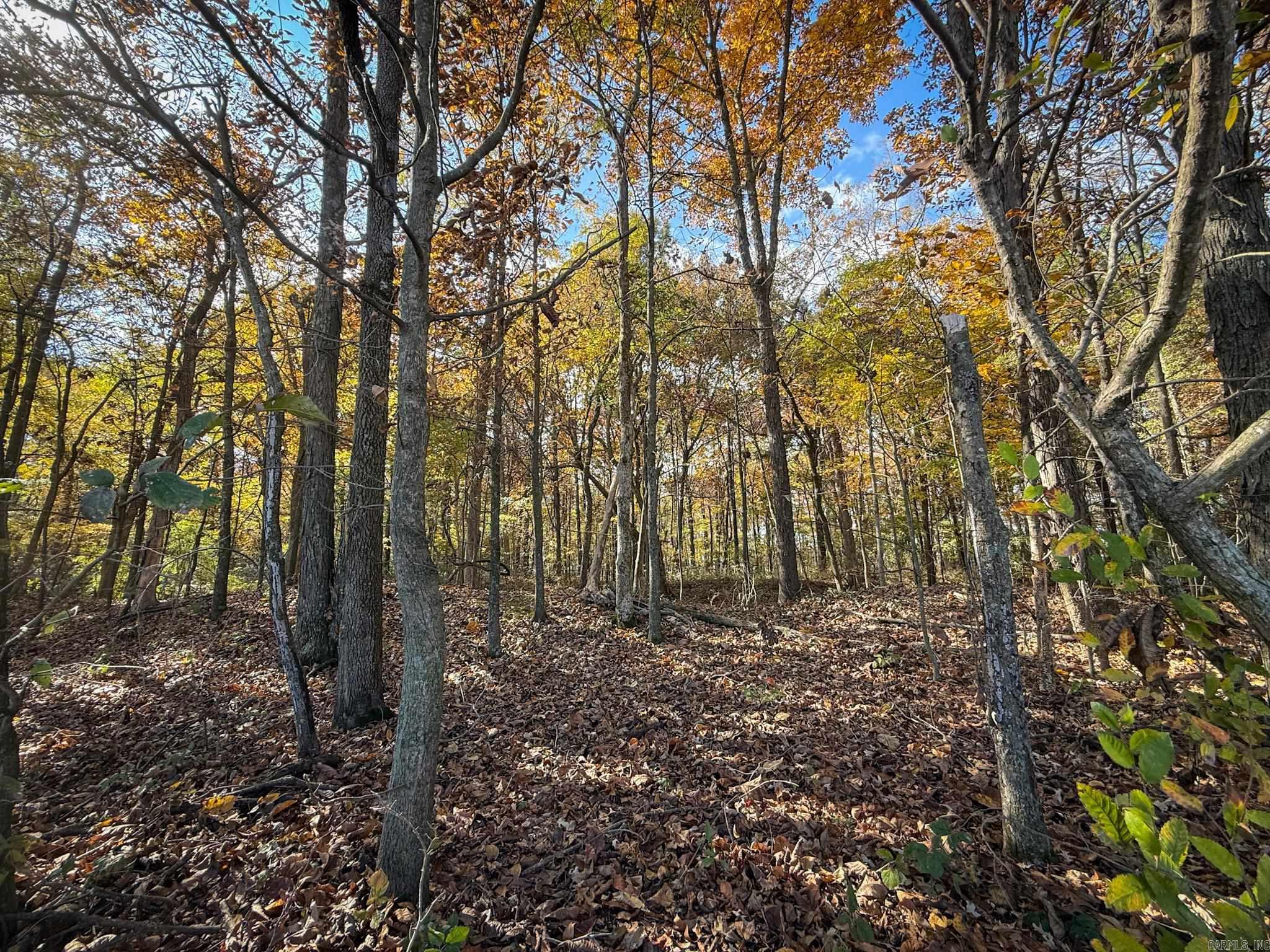 Not in Subdivision - Farm