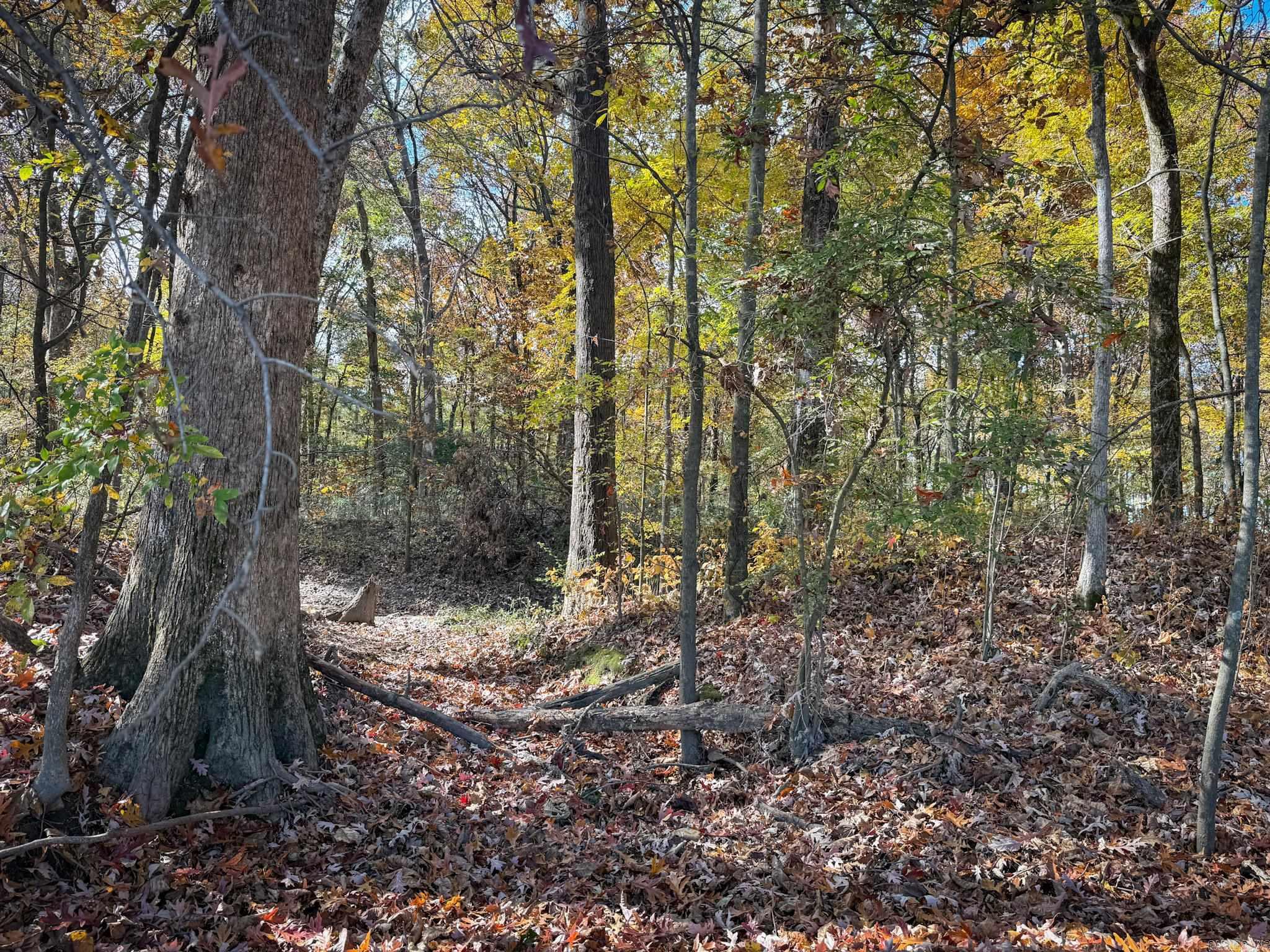 Not in Subdivision - Farm