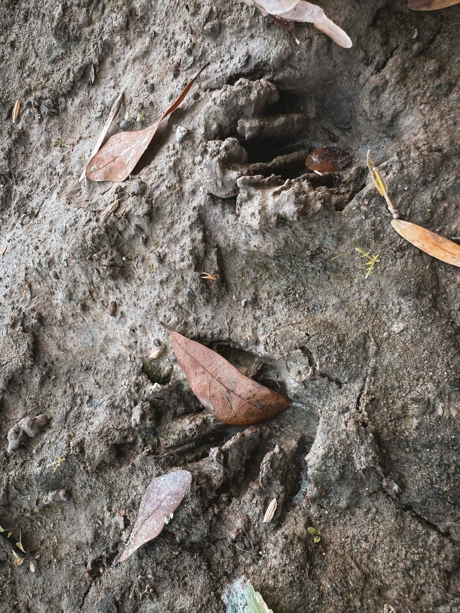 Not in Subdivision - Farm