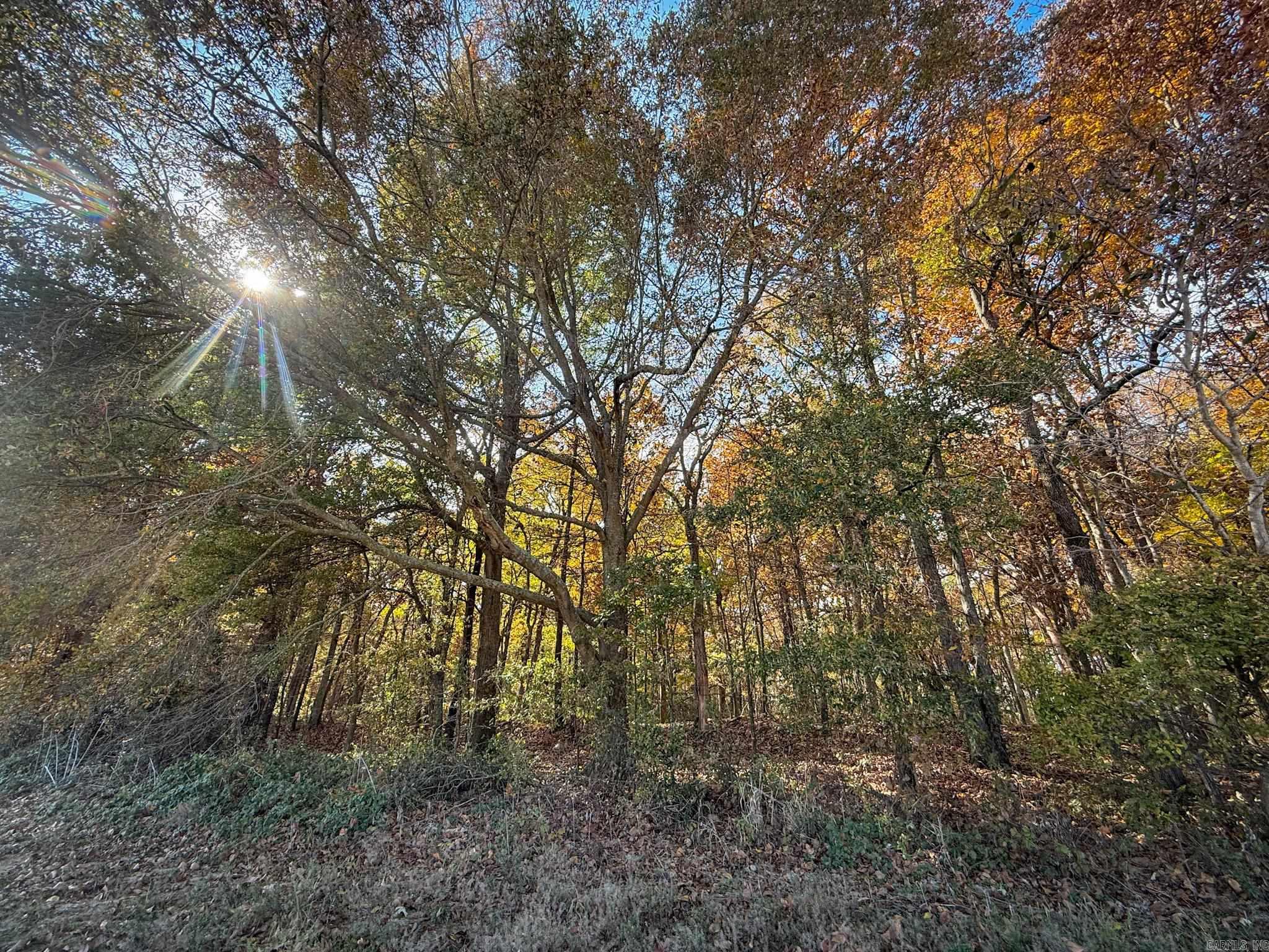 Not in Subdivision - Farm