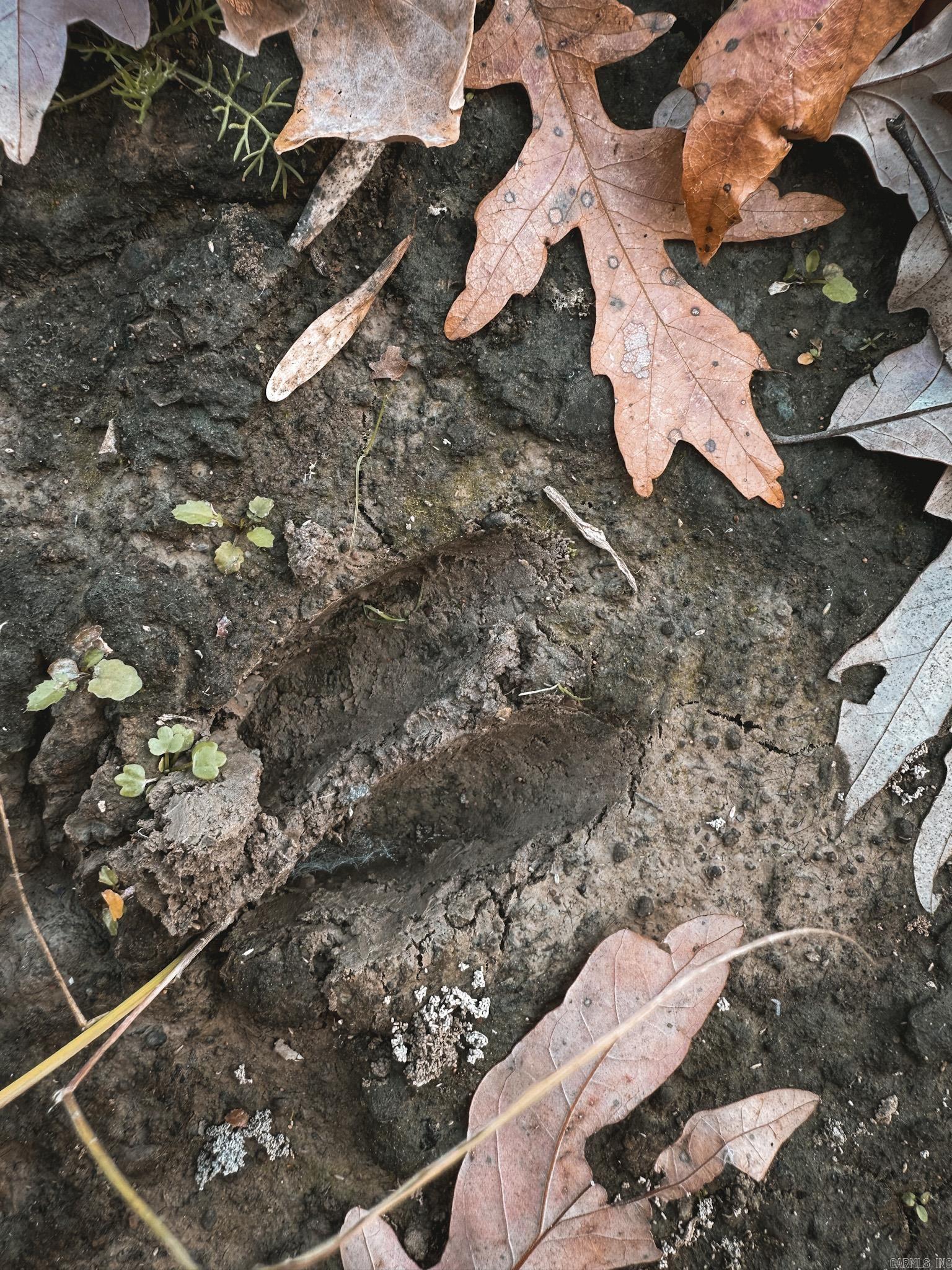 Not in Subdivision - Farm