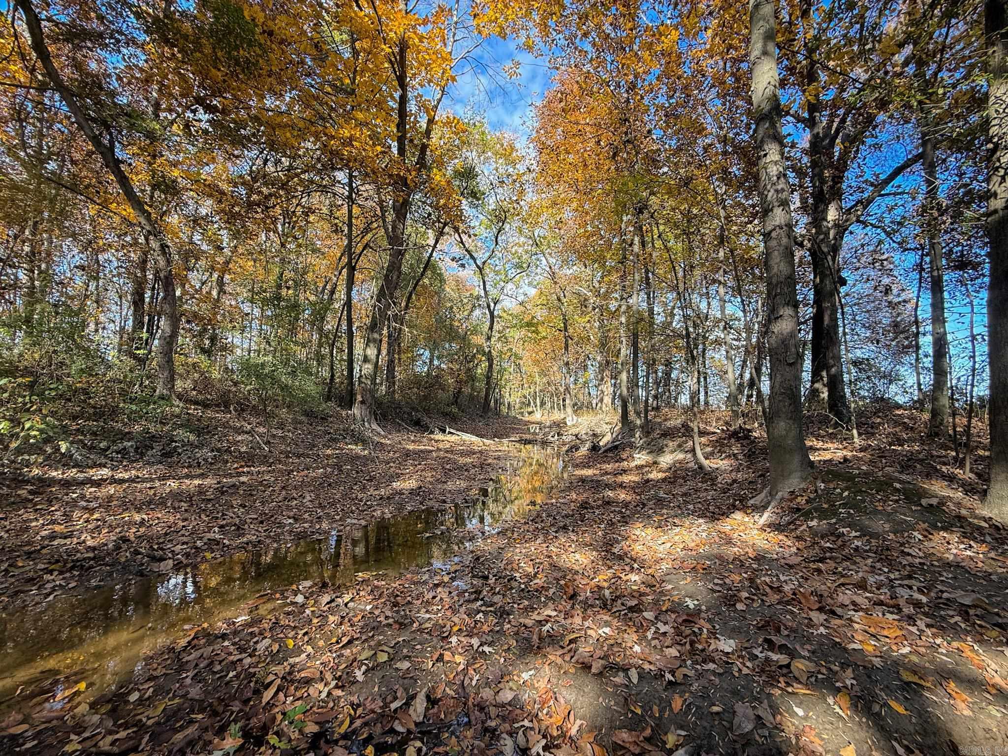 Not in Subdivision - Farm