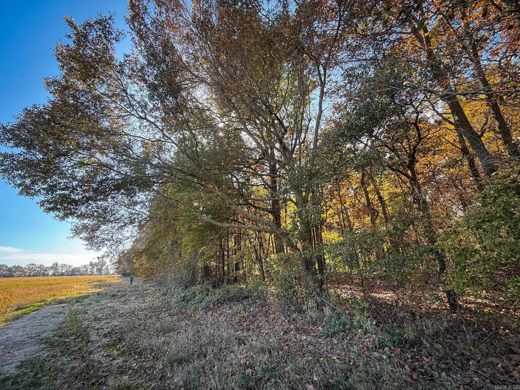 Not in Subdivision - Farm