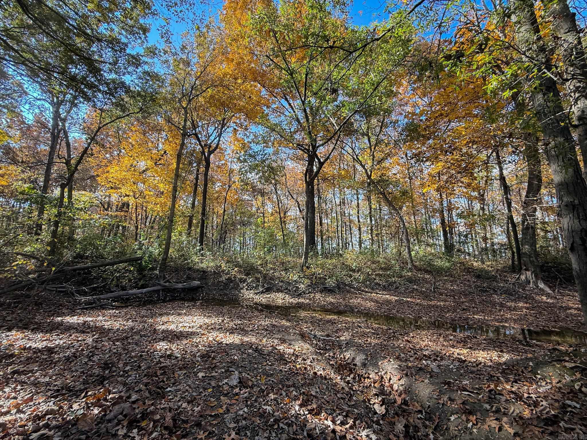 Not in Subdivision - Farm