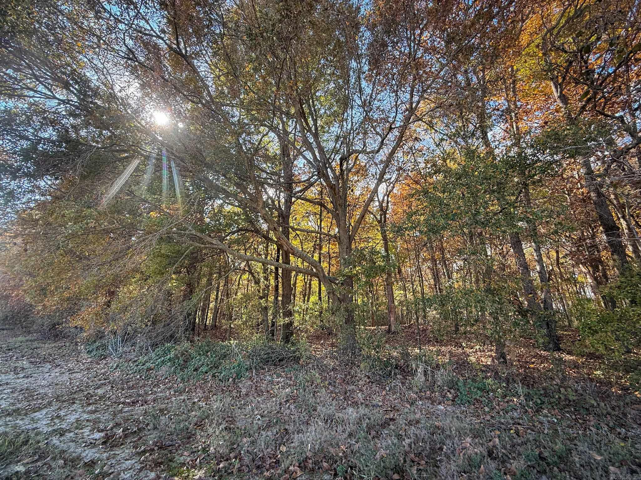 Not in Subdivision - Farm