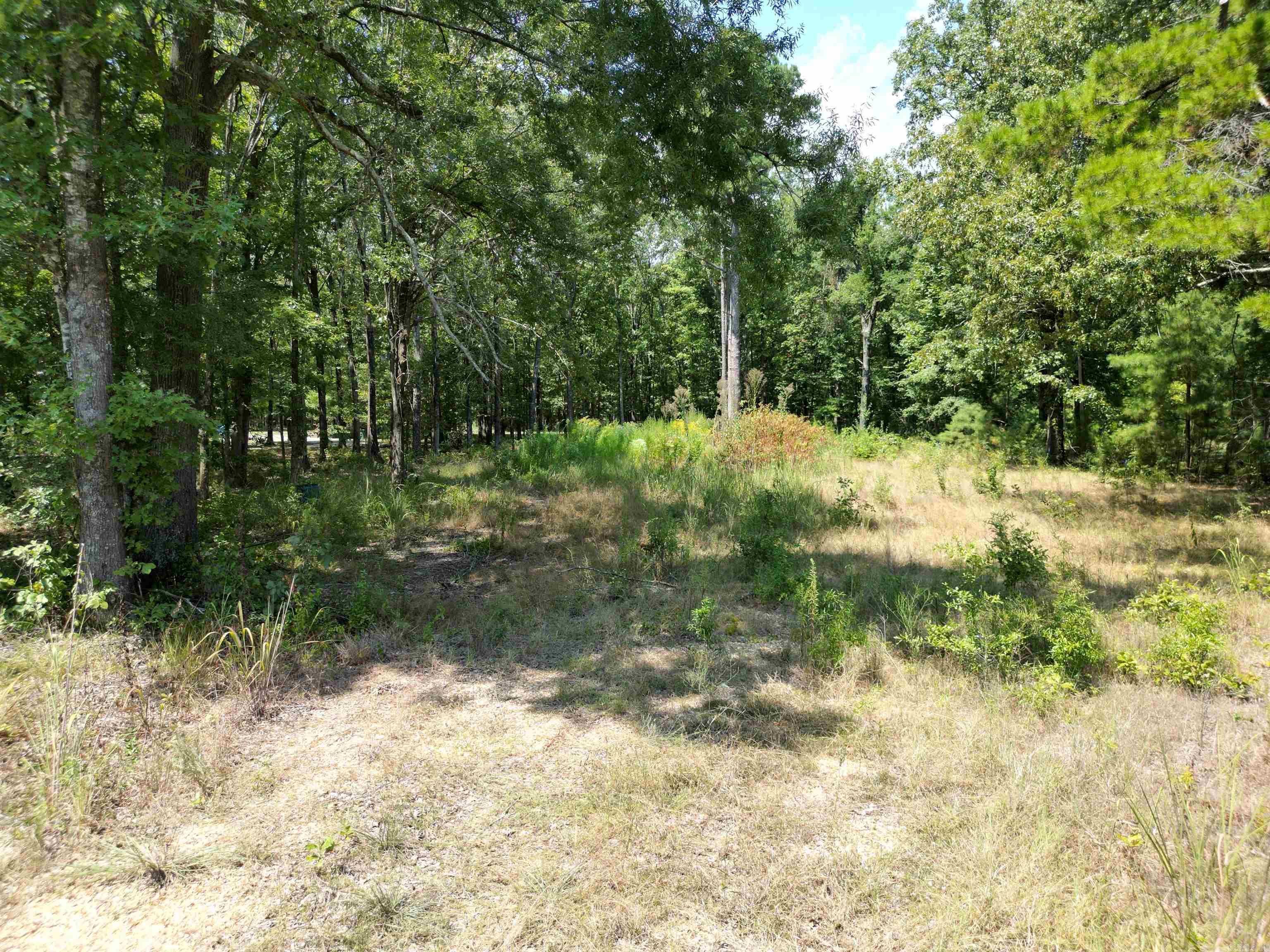 3.99 Acres located in South Pine Bluff! Mostly wooded. Does have a Drive way and a cleared spot for a potential build site! Also has water on the parcel.