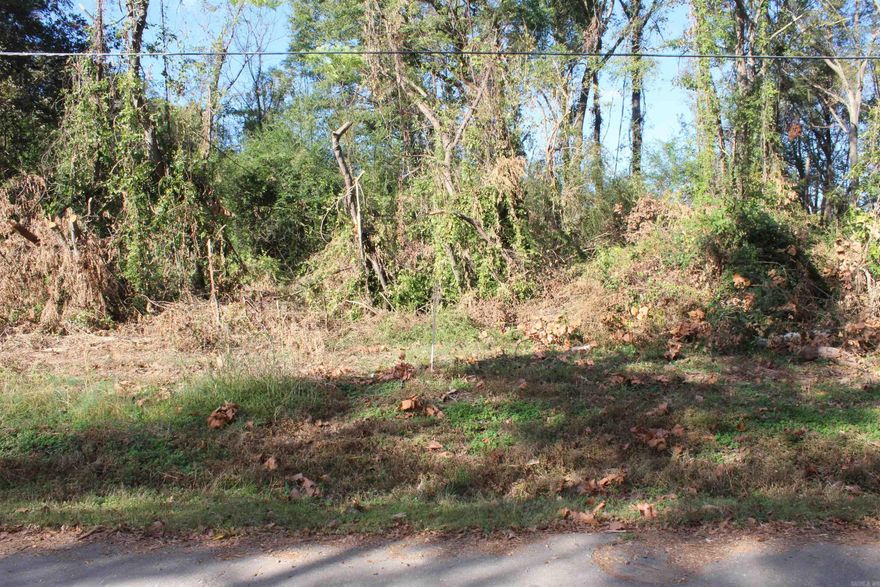 Vacant lot for sale, Owner financing available.