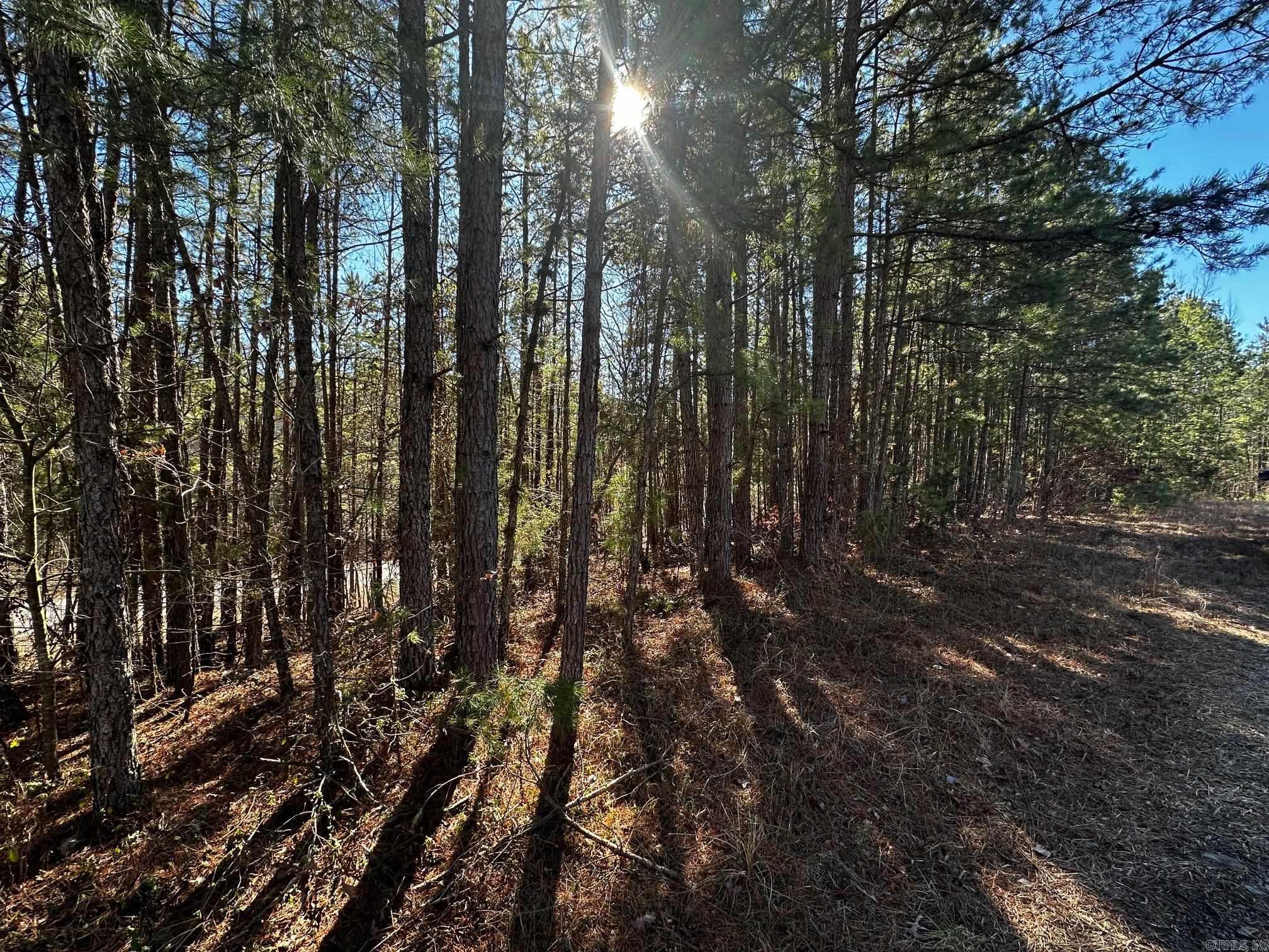 Great Neighborhood to build your dream home at the lake. Undergrounds utilities already in place! Mineral rights do not convey.