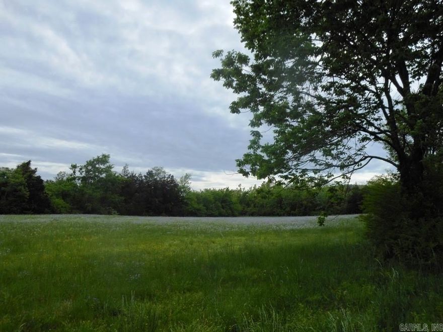 Looking to build?    Here are 6 m/l gorgeous acres!  This property features a small pond, a beautiful building site on a hill with mature trees, a lovely hay meadow, and mountain views! There is a well on the property, electric, rural water, cable available! $24,500!