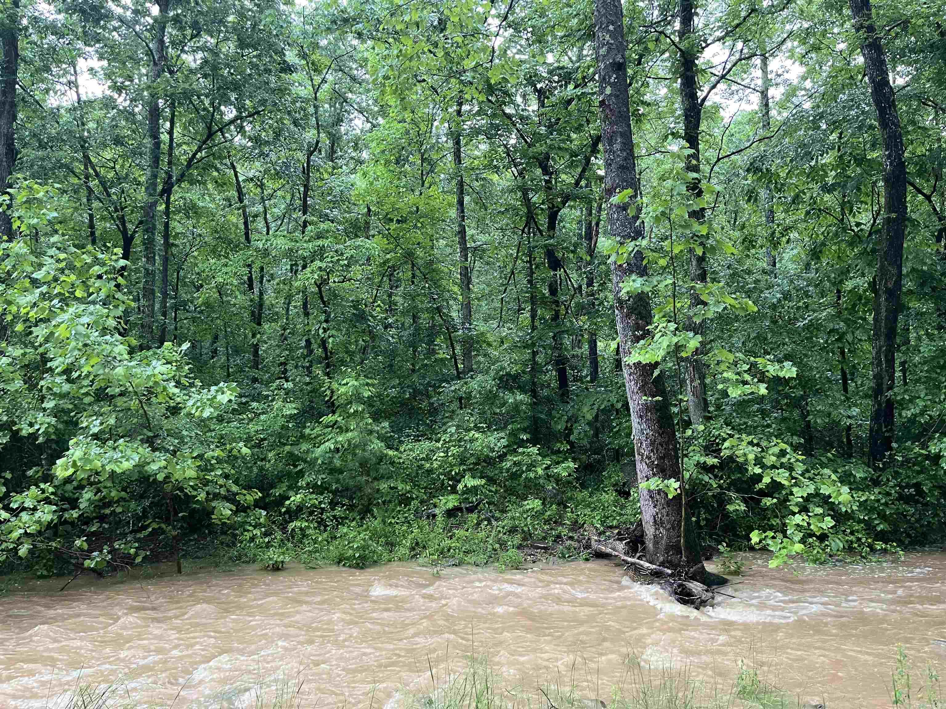 Tucked away in nature, this 13.03-acre property is a rare find for those seeking space, seclusion, and a stunning setting to build your dream retreat. With a seasonal stream winding through the lower portion and a perfect elevated spot for a cabin, this land has everything you need to create your ideal getaway or forever home. Don't miss your chance to own a truly special piece of land where your vision can come to life.