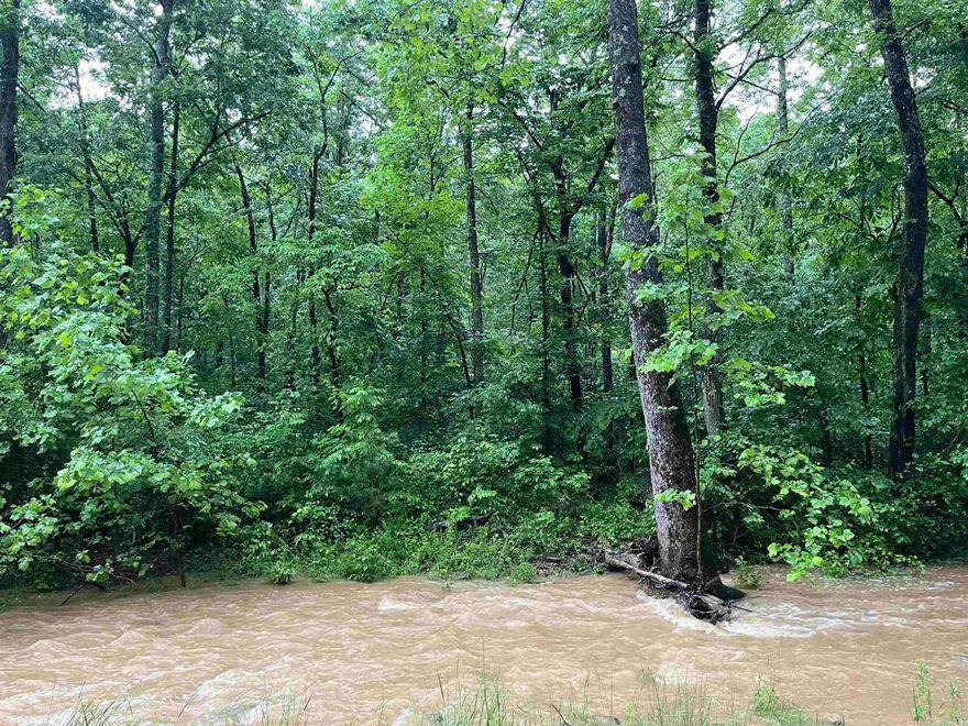 Tucked away in nature, this 13.03-acre property is a rare find for those seeking space, seclusion, and a stunning setting to build your dream retreat. With a seasonal stream winding through the lower portion and a perfect elevated spot for a cabin, this land has everything you need to create your ideal getaway or forever home. Don't miss your chance to own a truly special piece of land where your vision can come to life.