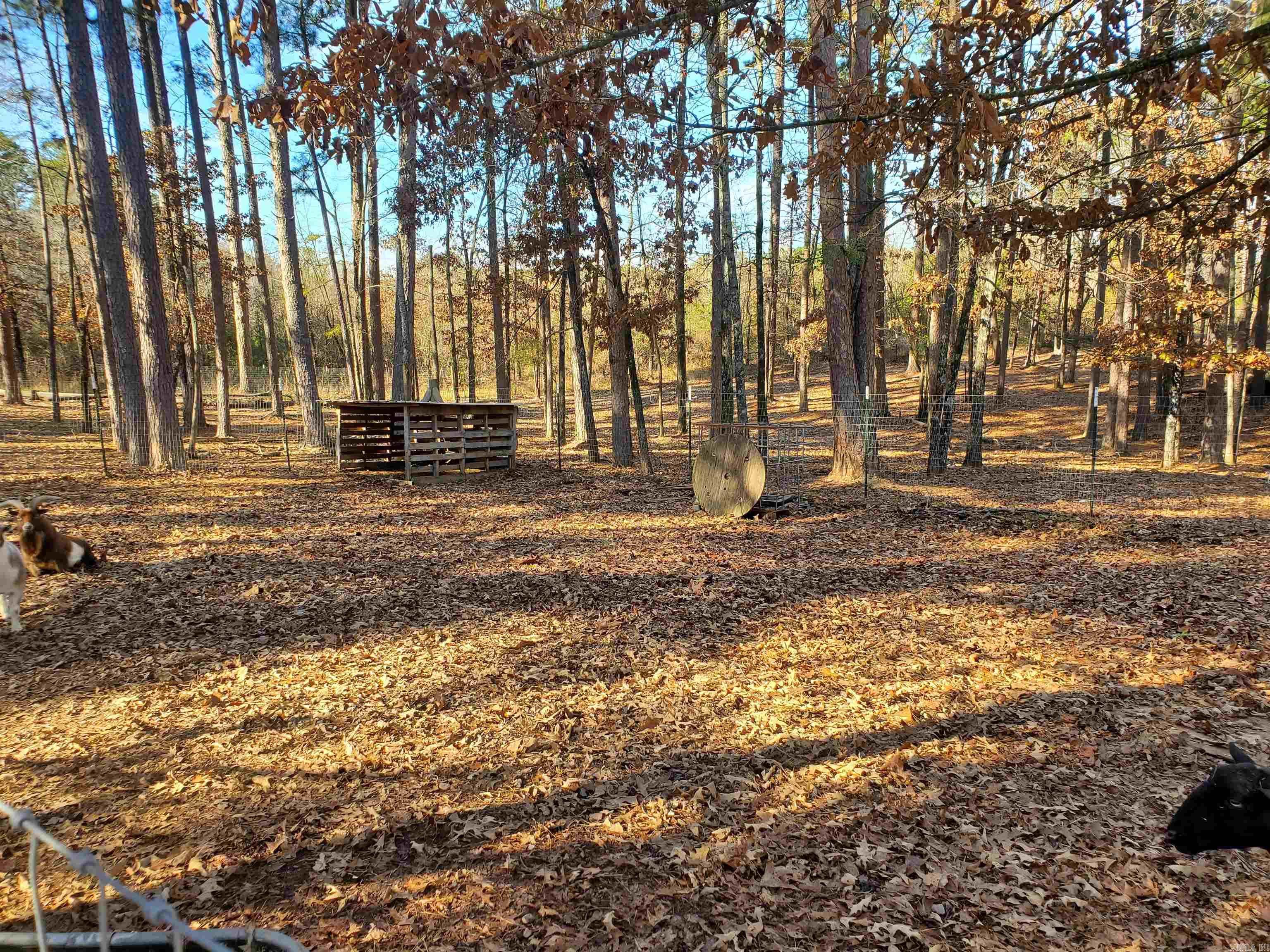 Sulphur Springs - Residential