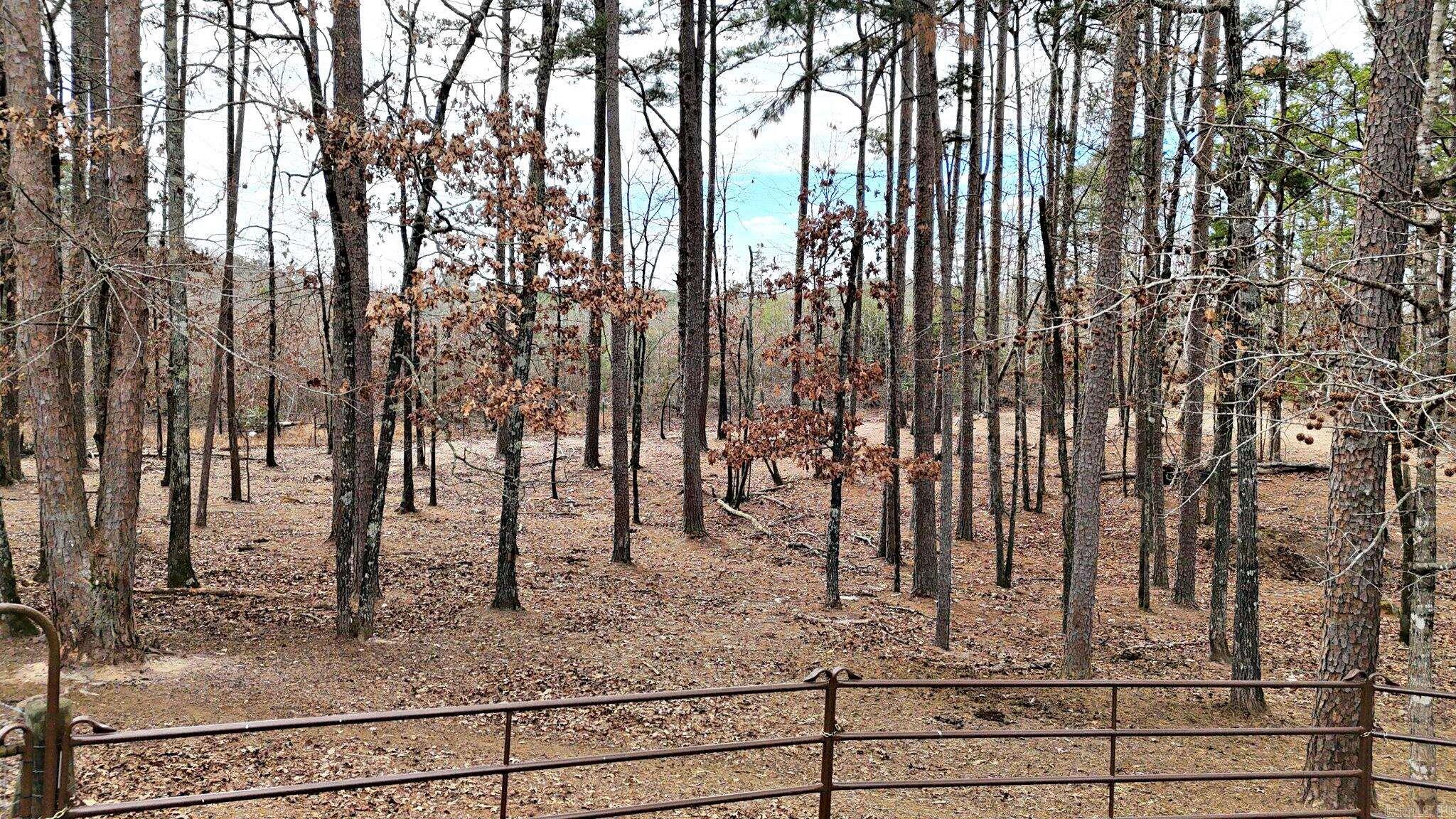 Sulphur Springs - Residential