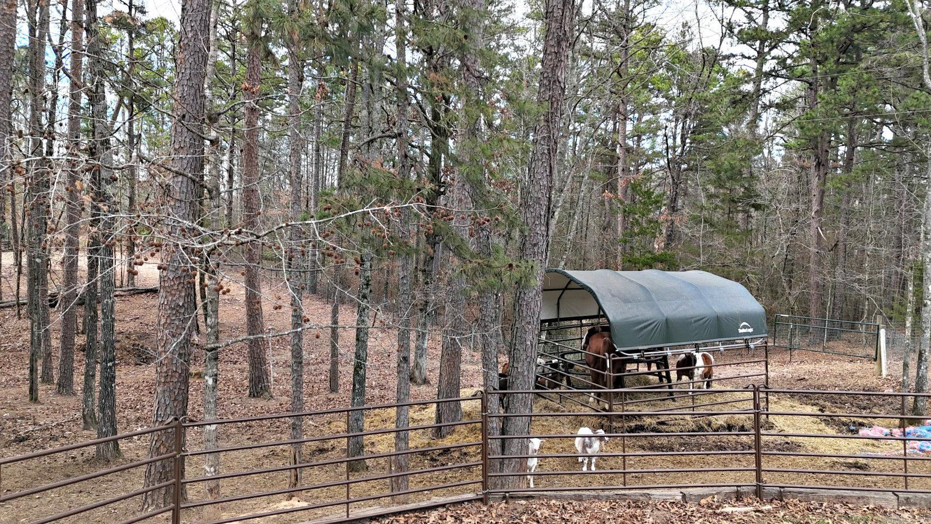 Sulphur Springs - Residential