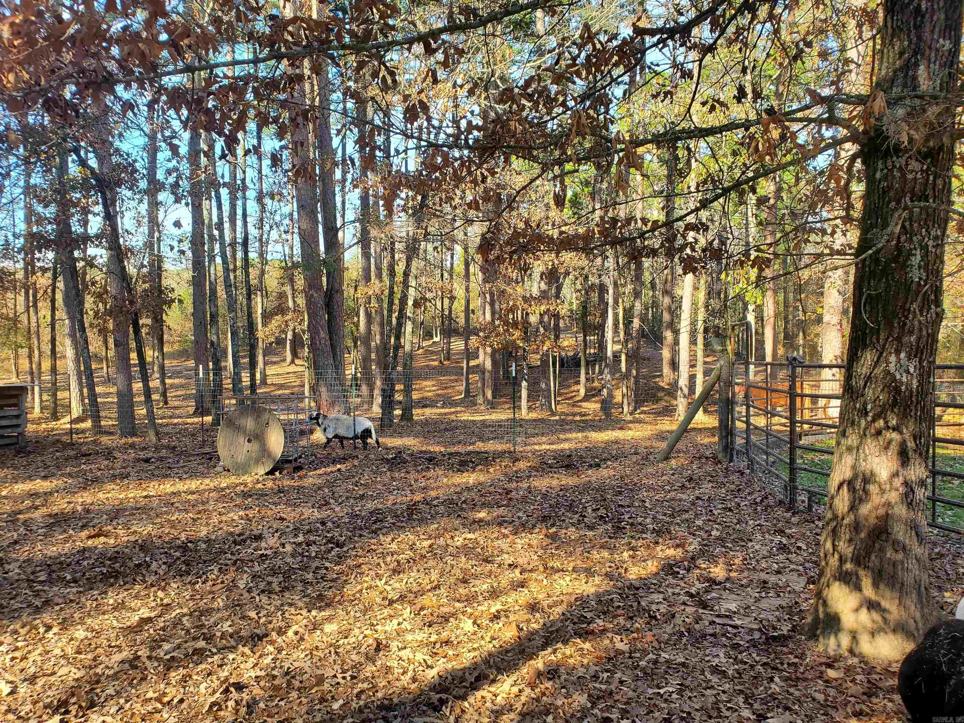 Sulphur Springs - Residential