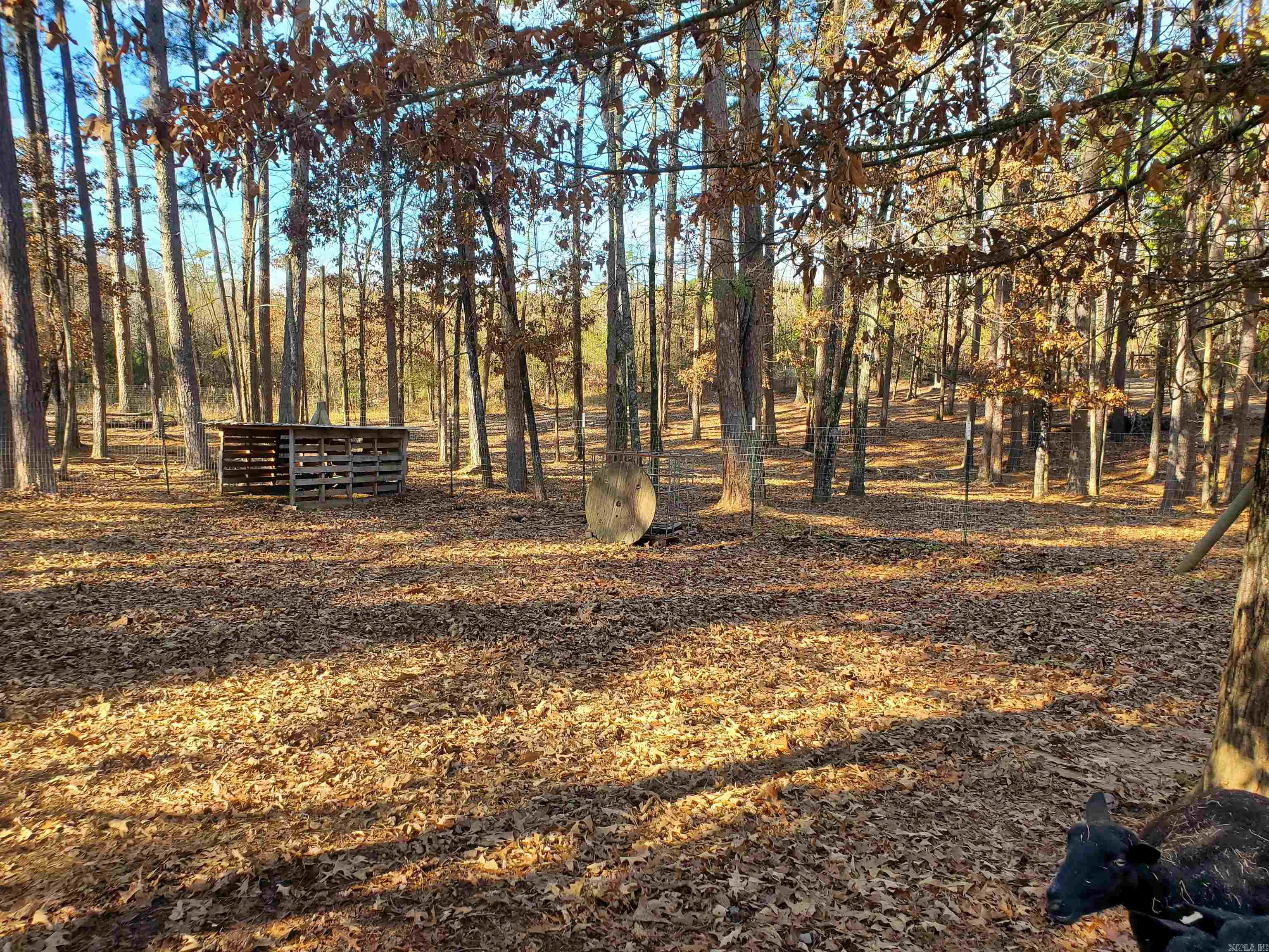 Sulphur Springs - Residential