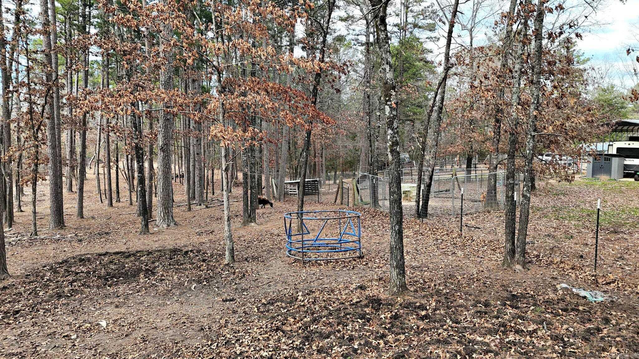 Sulphur Springs - Residential