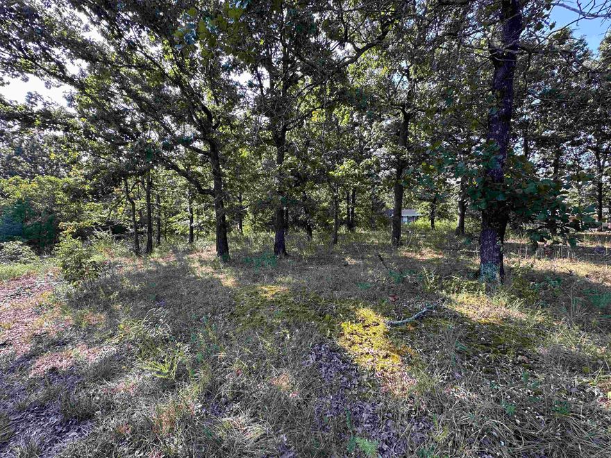Build your dream getaway on this 3-lot, 1 acre property in Horseshoe Bend, Arkansas. Located with a view of Crown Lake, along a paved road, this wooded lot offers both privacy and convenience. Whether you’re planning a full-time residence or vacation spot, this parcel puts you close to Turkey Mountain Golf Course and Crown Lake. With paved road frontage and utilities nearby, it’s the perfect canvas to clear and build your vision.