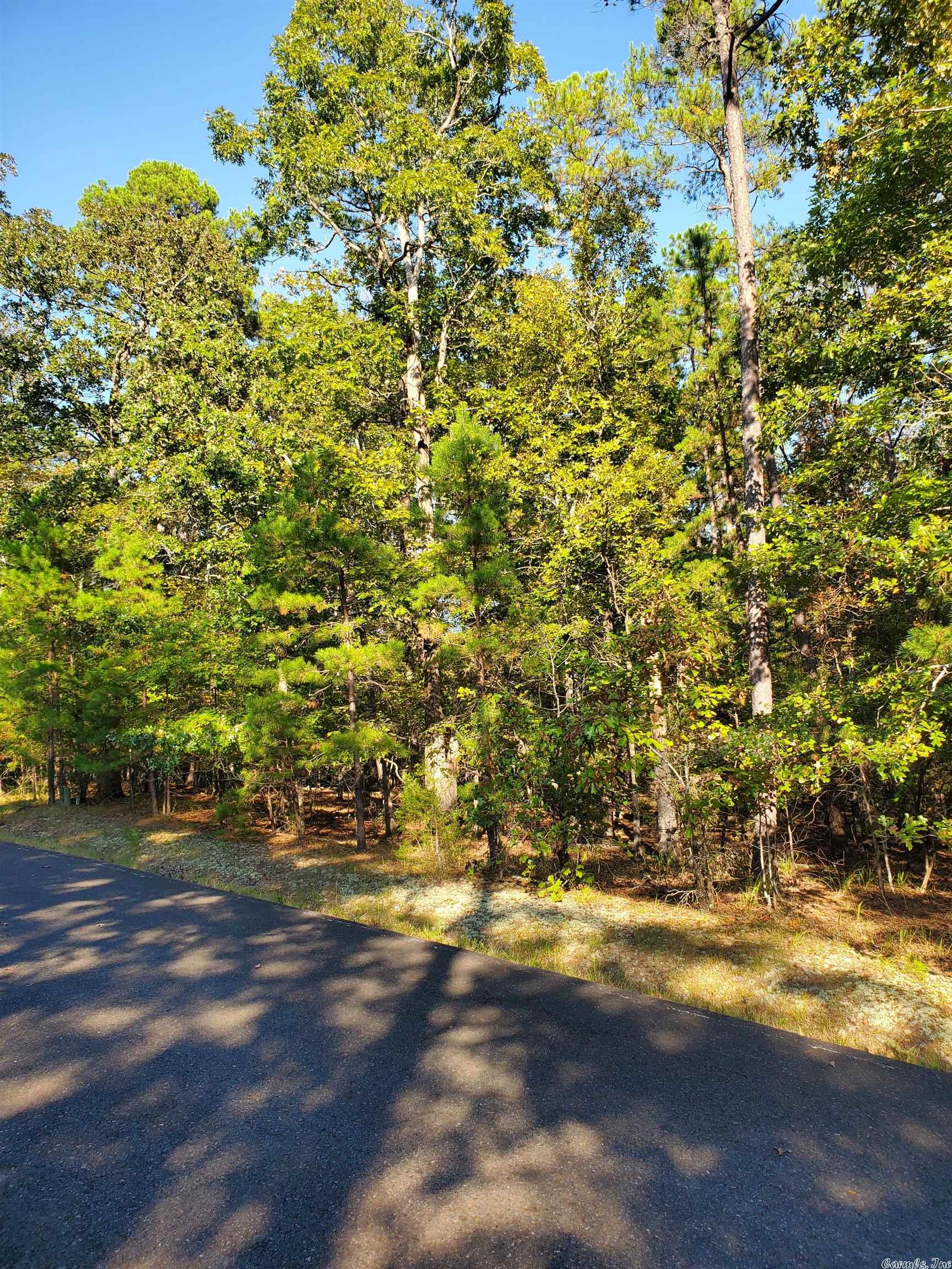 Beautiful Home Site located in Hot Springs Village in the private Diamante Subdivision, Country Club. Diamante is home to an award winning #3 ranked golf course in Arkansas by Golf Digest and amenities include world class tennis, private pool, and a wide variety of social events. HS Village is the largest gated community in the country, 26000 acres, miles of walking trails, 11 Lakes, 8 additional golf courses. Close to historic Hot Springs. Gold status.