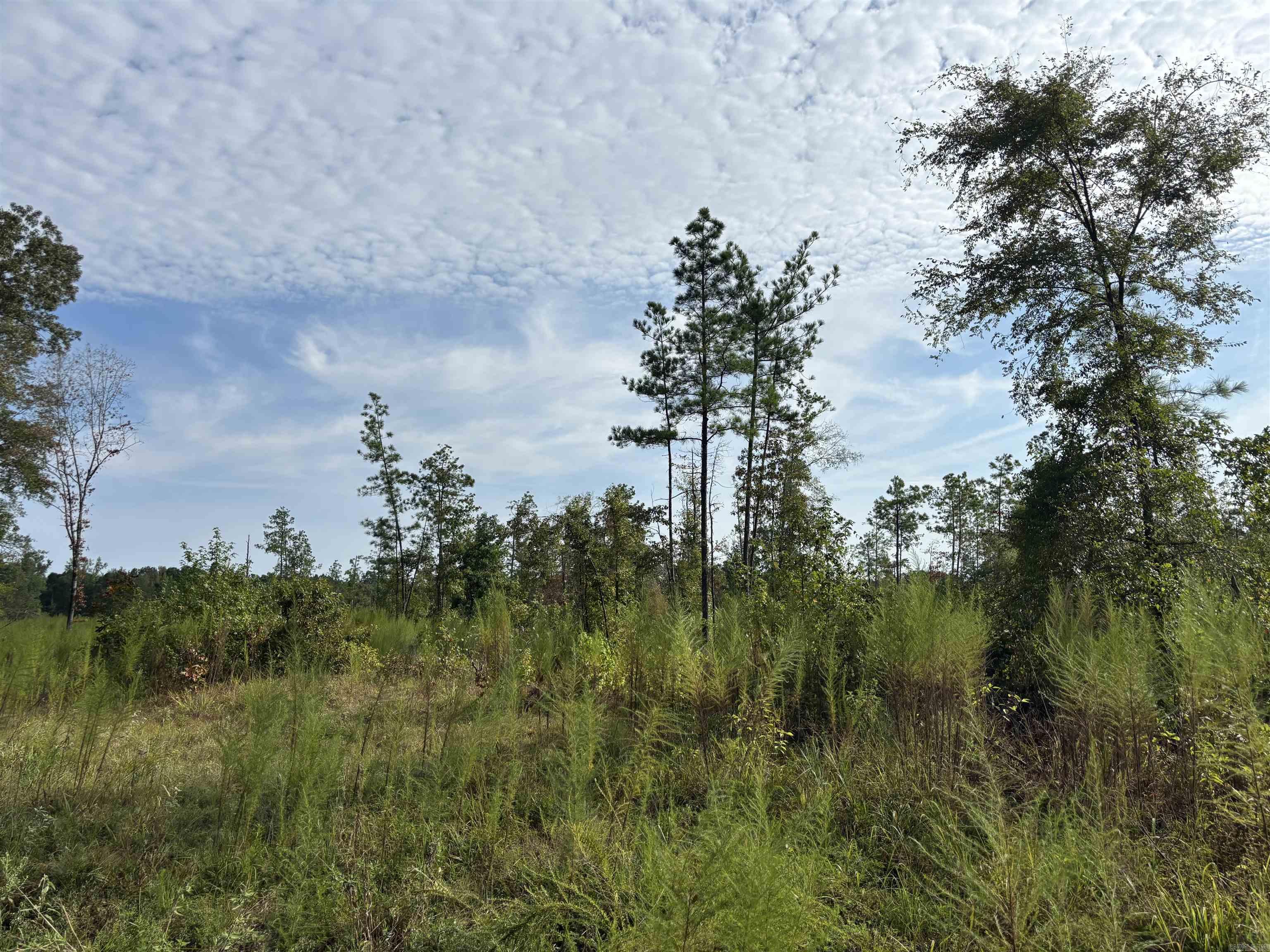 6.99 acres on Grant 68*more acreage available if needed*this property has a water meter already and has a preliminary perc*no restrictions*mobile homes and livestock allowed*survey under ls docs*Sheridan Schools*