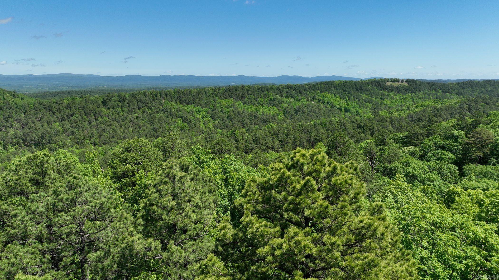 Nestled in the heart of the renowned Wolfpen ATV trails, this wooded 9.95-acre parcel offers the perfect blend of adventure and tranquility. Whether you're looking to build your dream getaway or simply park your RV, this property provides a versatile and scenic retreat. Private, and with no restrictions, the possibilities are endless—from a rustic cabin to a private camping escape. The terrain is mountain-like, rich with natural beauty and teeming with wildlife, offering a true back-to-nature experience. Additional adjoining lots are also available if you're looking to expand your slice of paradise. Taxes will need to be assessed after purchase due to subdivision of existing parcel.
