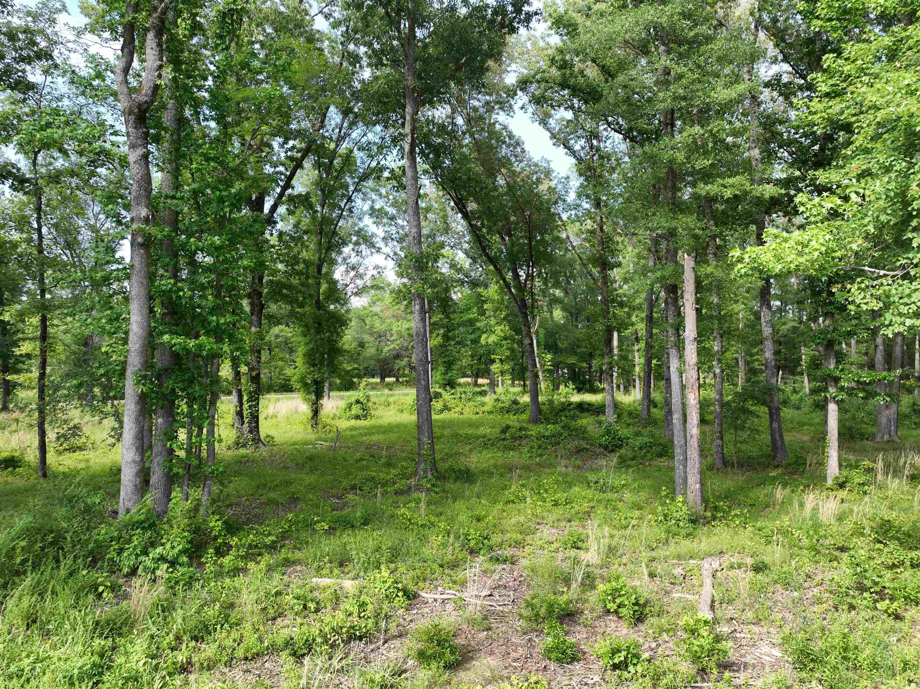 Metes & Bounds - Land