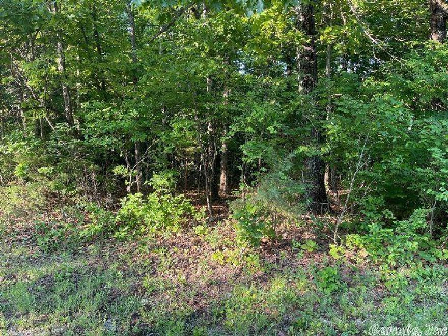 This Ozarks lot located in Horseshoe Bend, AR is close to Diamond Lake but not on it. Just a short drive to the Diamond Lake launch located in Izard county. The gentle downslope of the lot would be perfect for a walk-out basement.