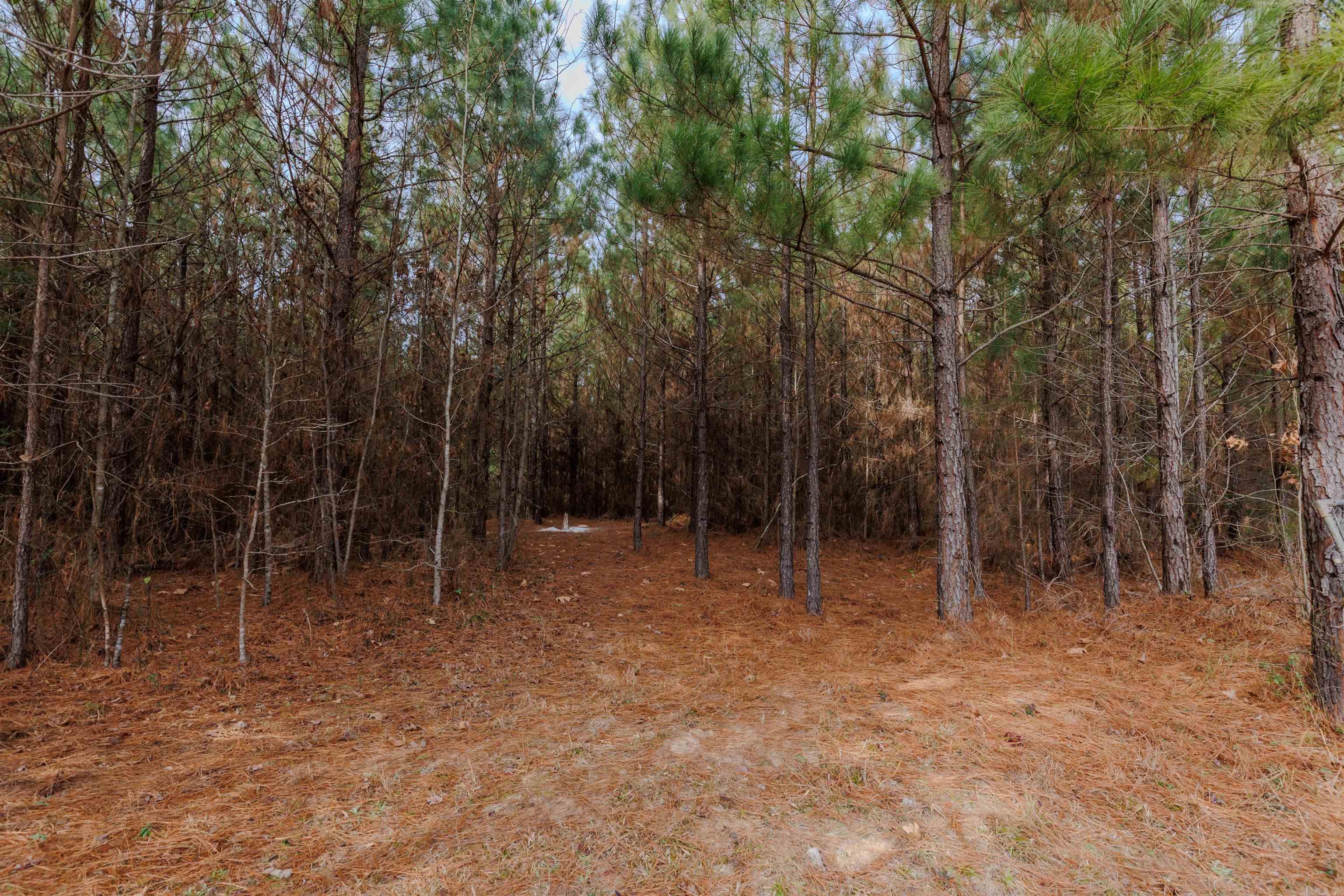 HUNTERS RUN - Residential