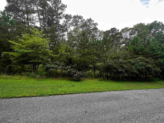 LOT 89 COBALT BAY DRIVE, SHIRLEY, AR 72153 - Image c30c96684e46dbda01b28ea10c8058a9/1293043944