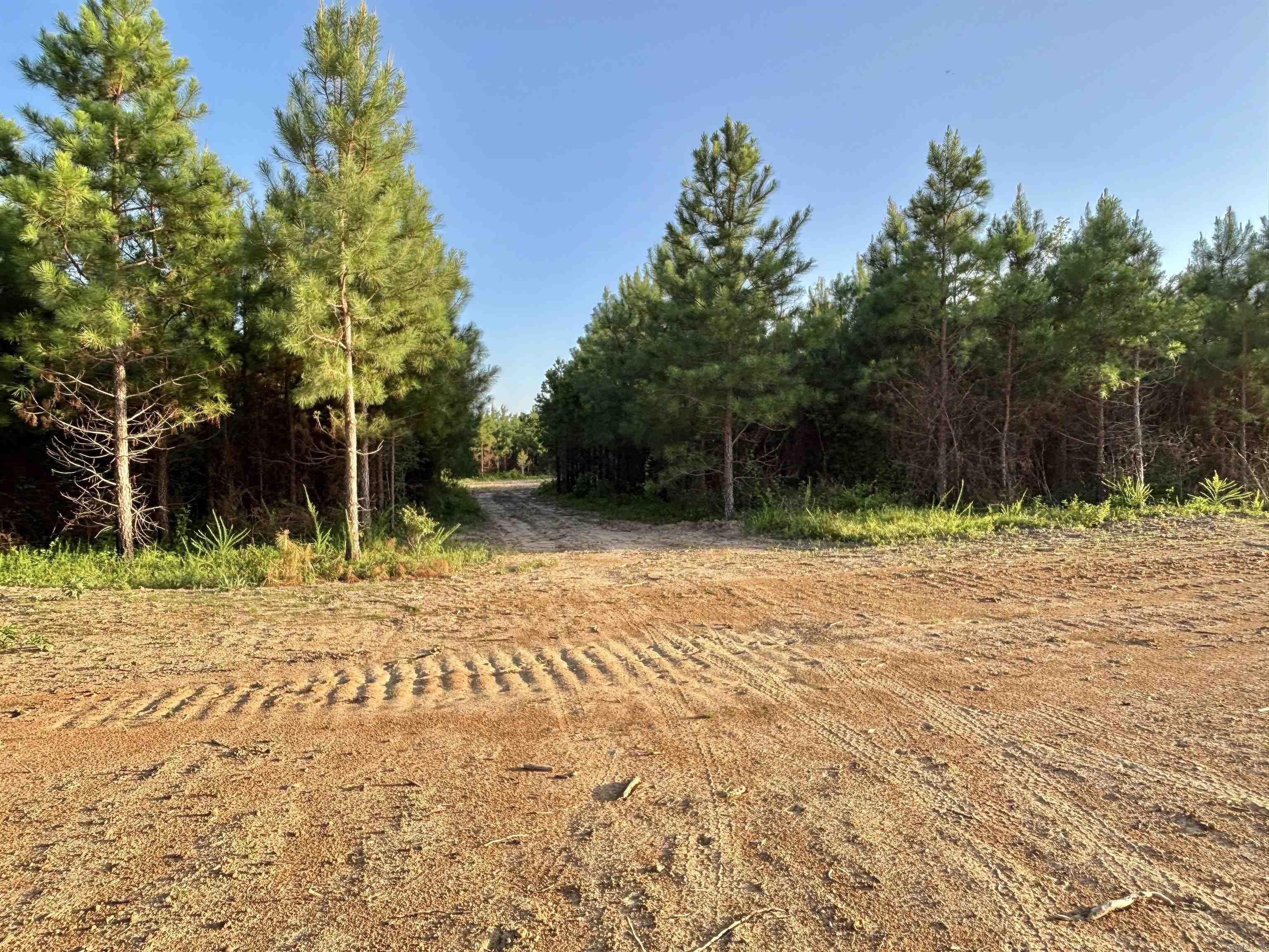 Lake Avalon Estates - Land