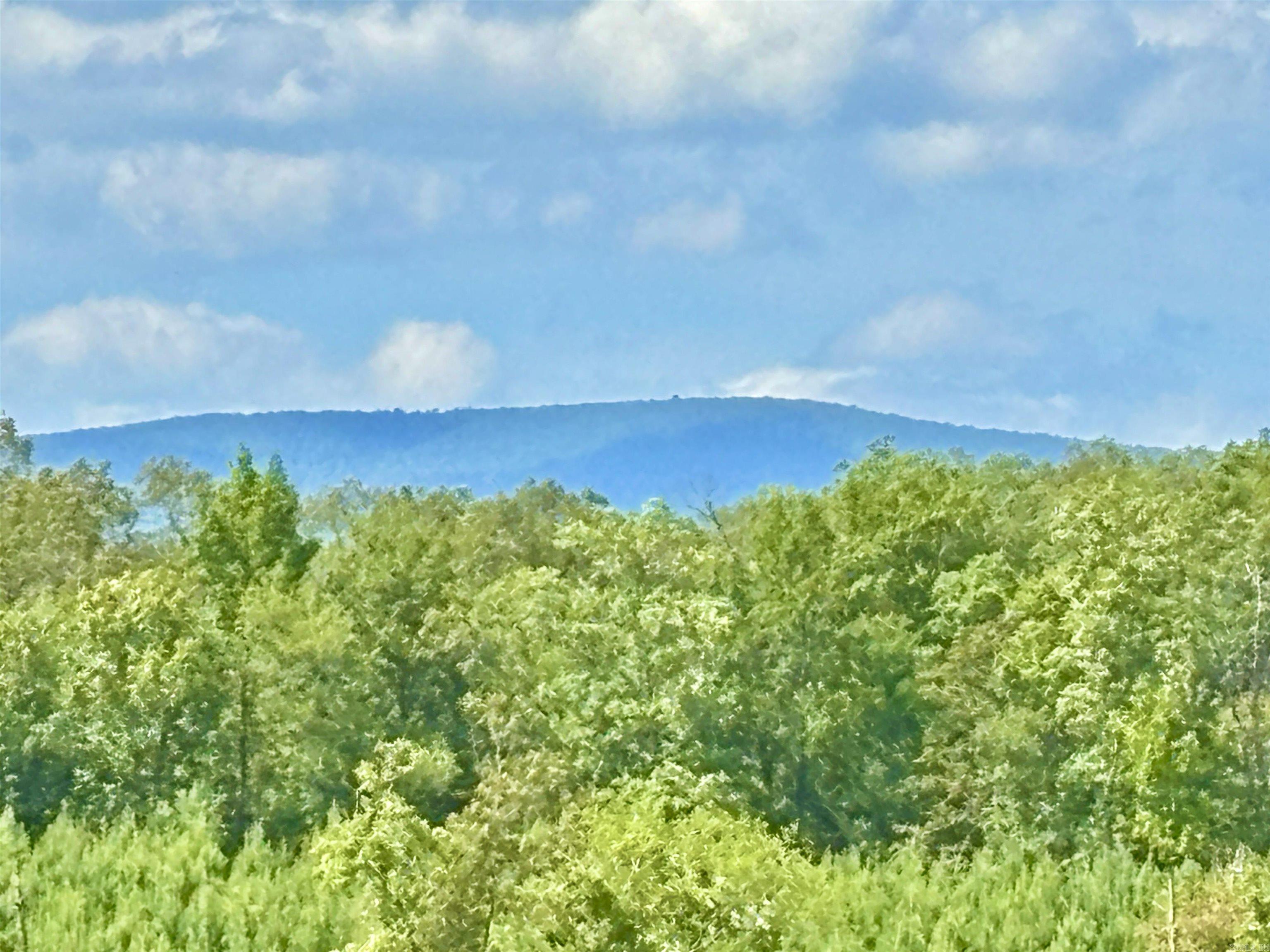 Lake Avalon Estates - Land