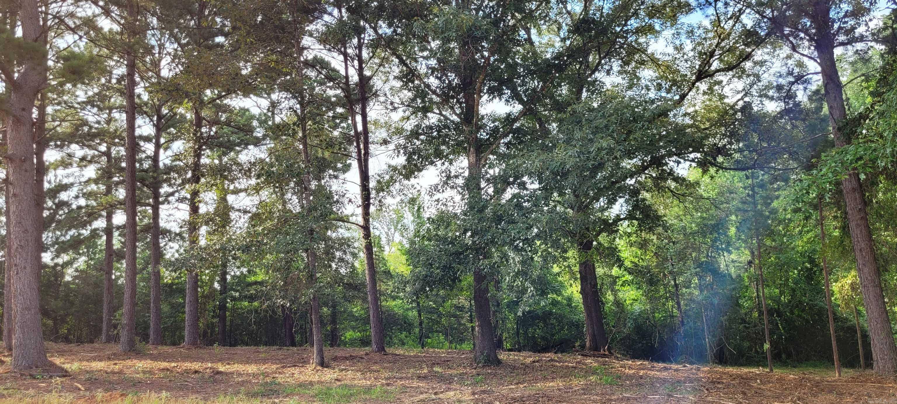 Coulter Estates - Land