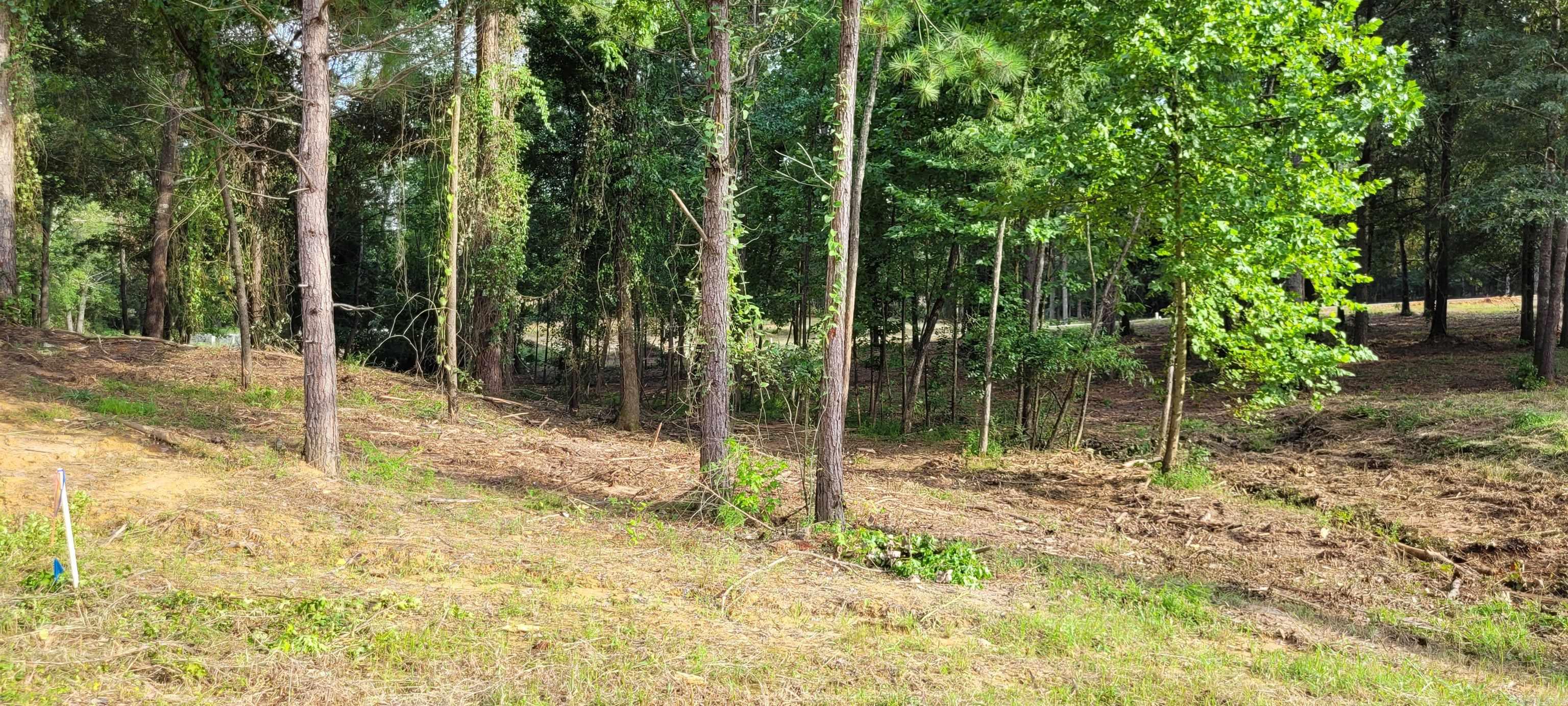 Coulter Estates - Land