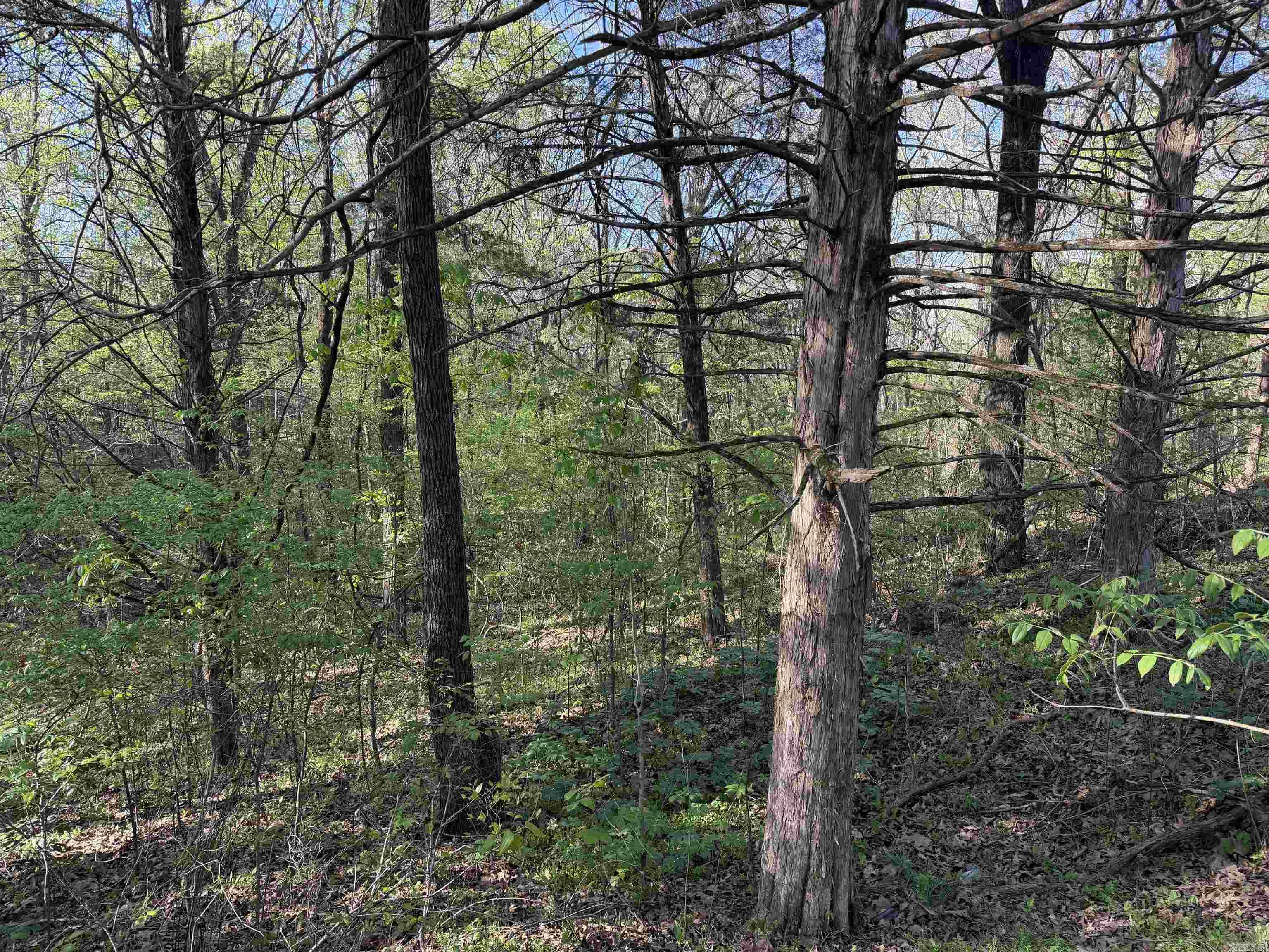 Not in Subdivision - Land