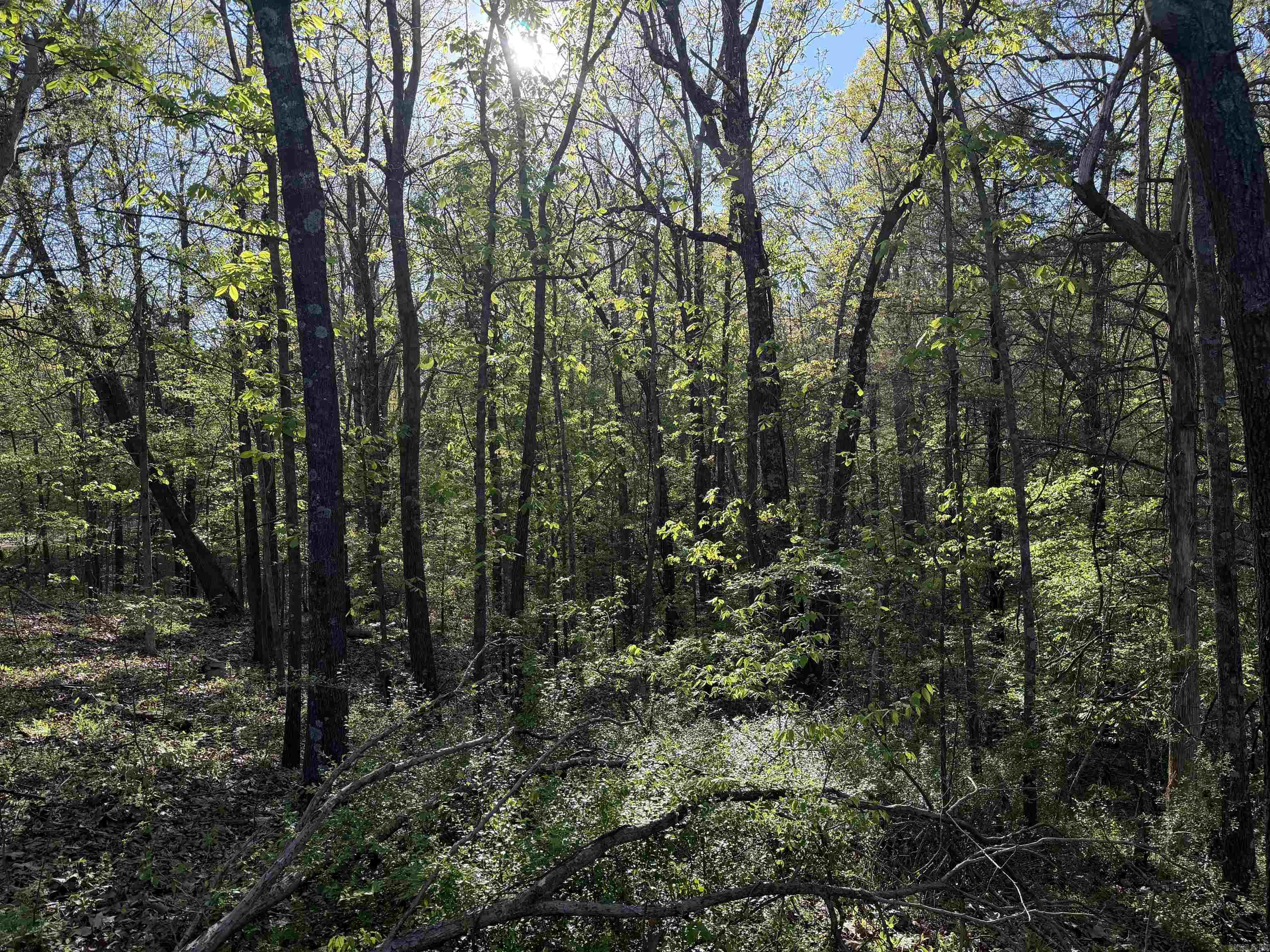 Not in Subdivision - Land